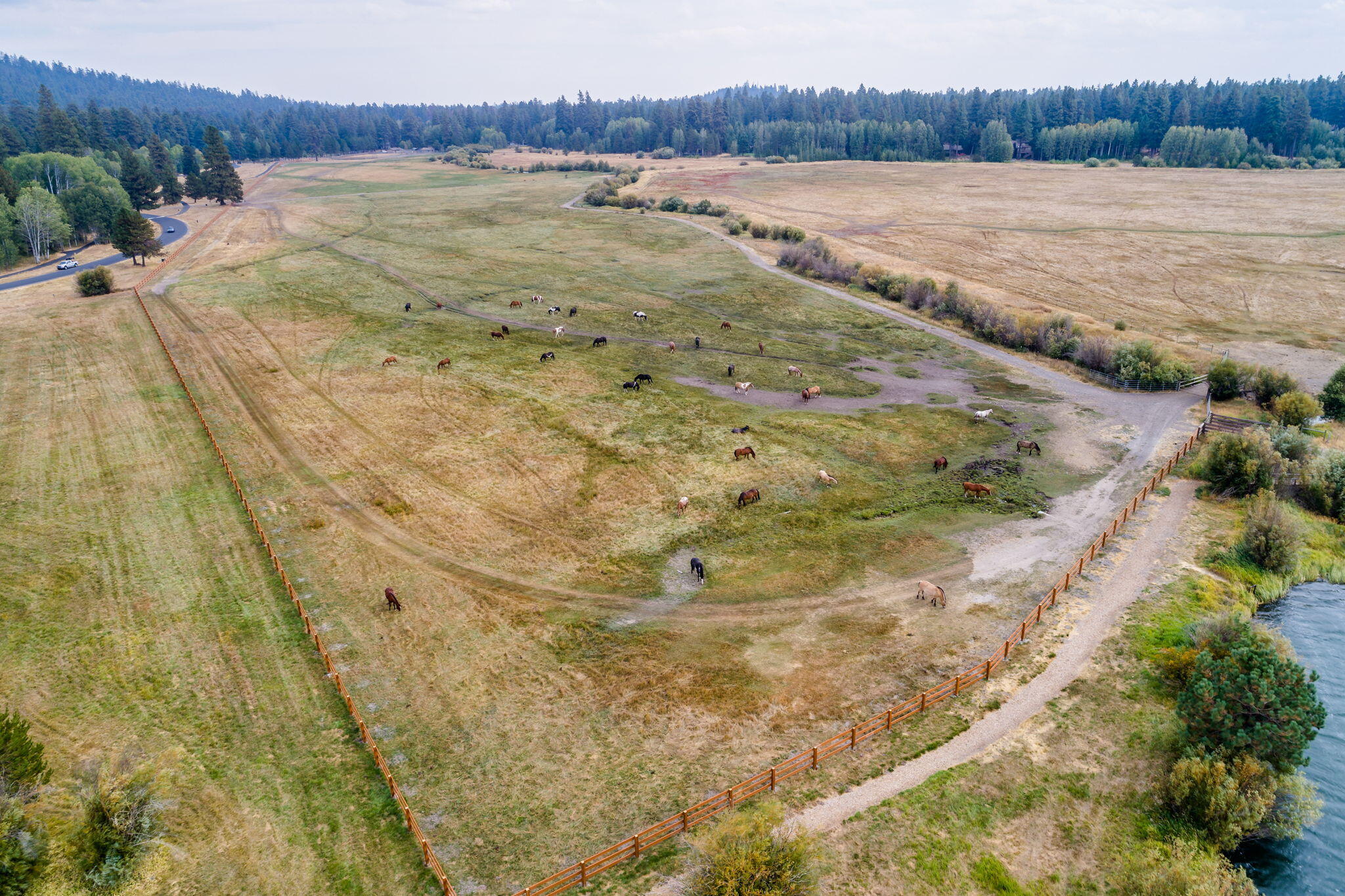 13701 Partridge Foot, RR83