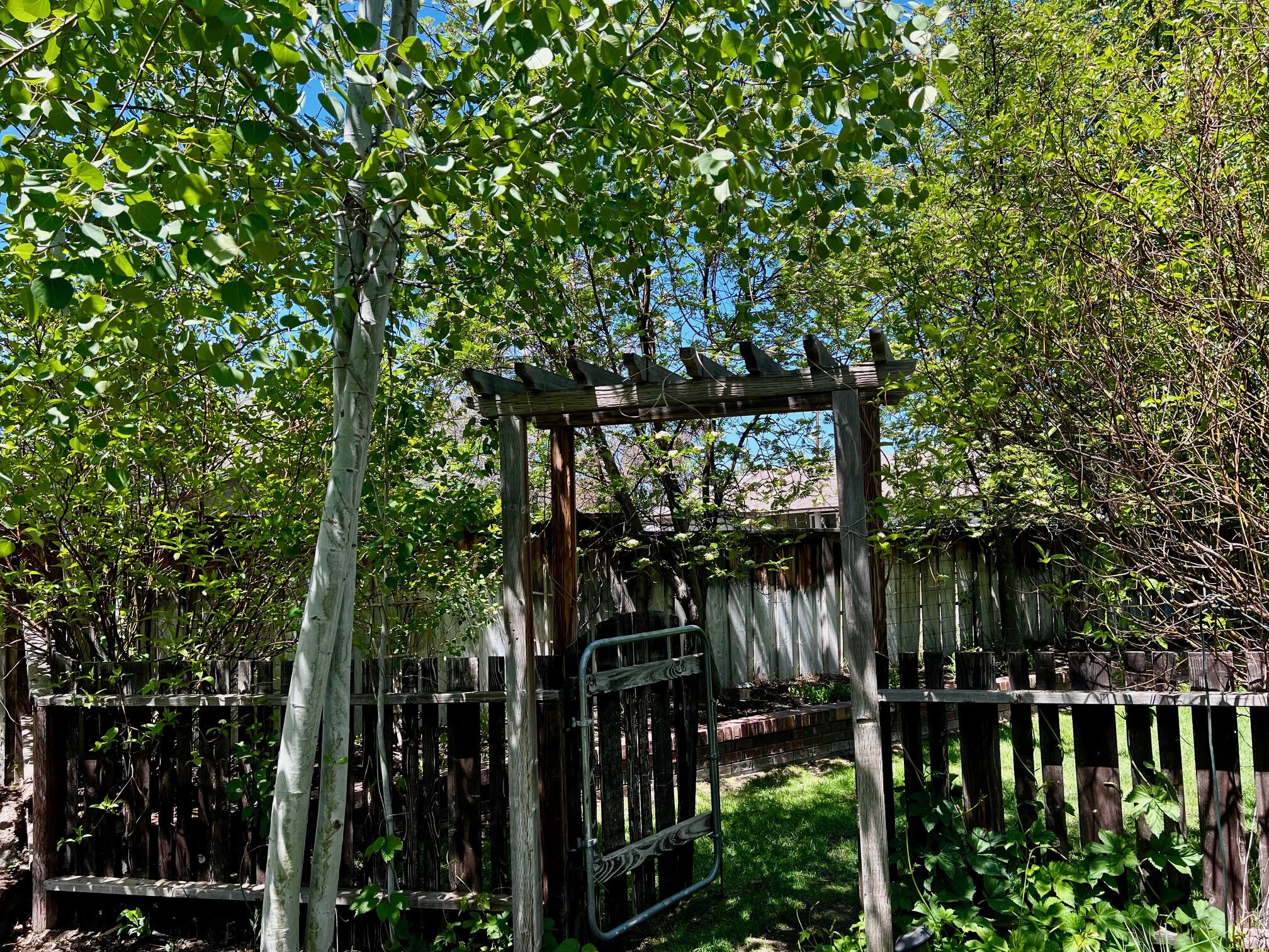 61195 Bonny Bridge
