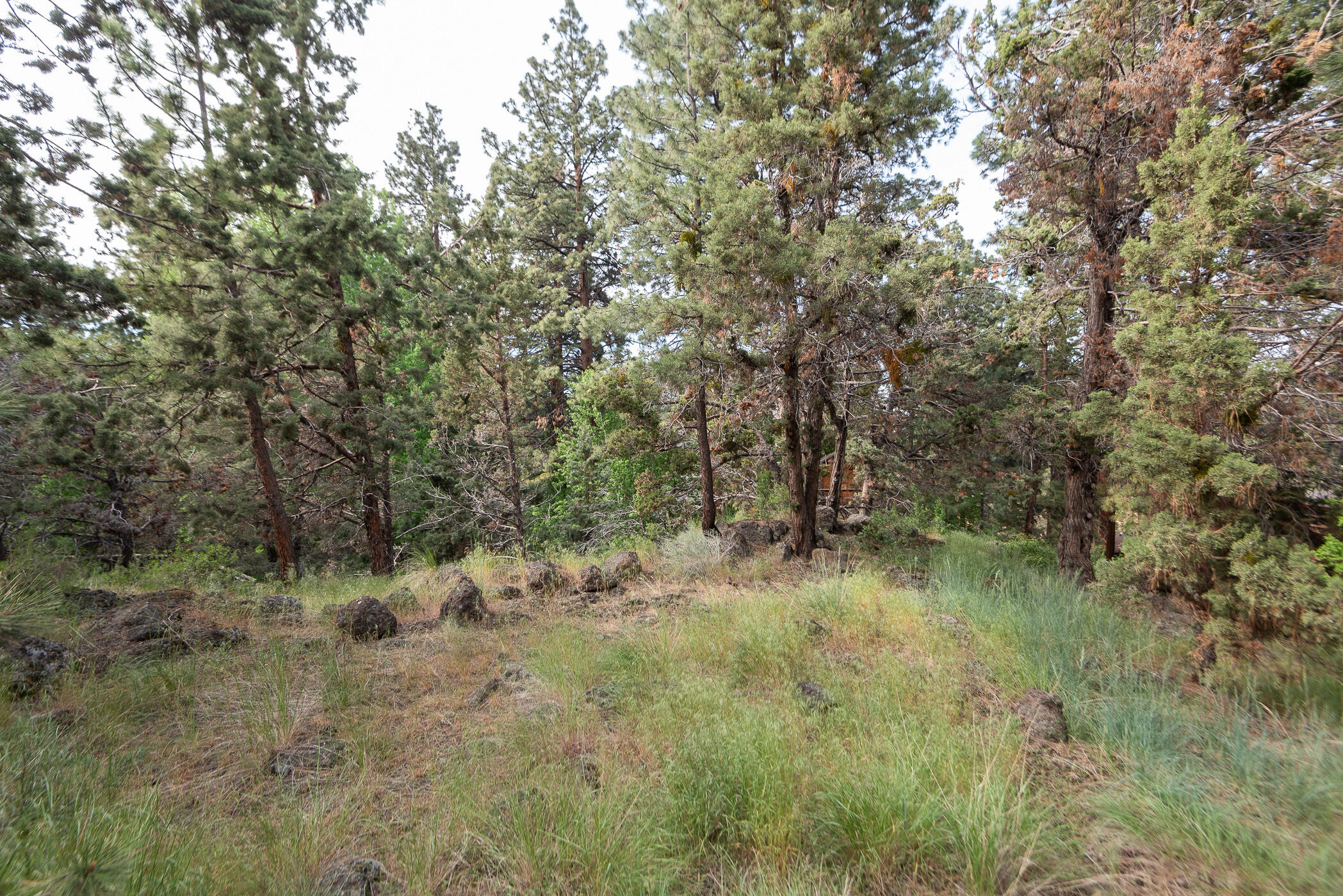 1525 NE Saddle Rock Court