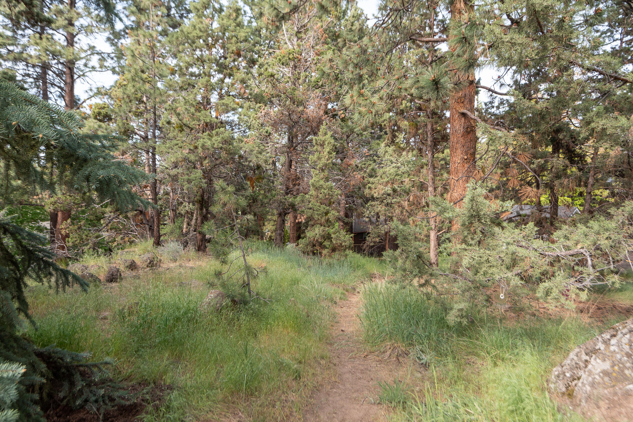 1525 NE Saddle Rock Court