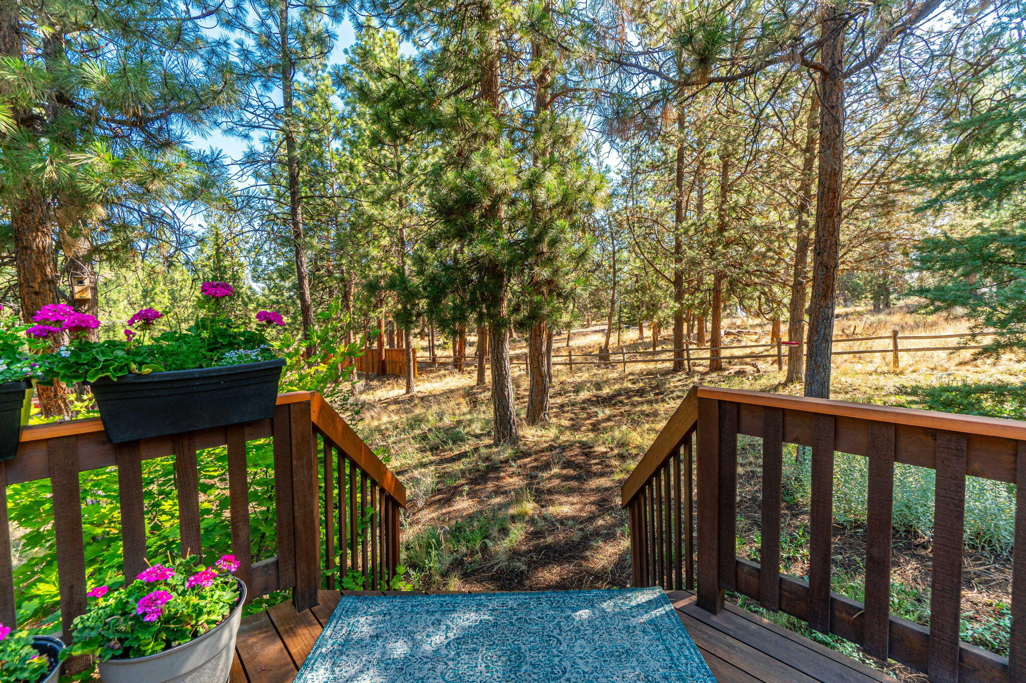 210 NW Skyliner Summit Loop