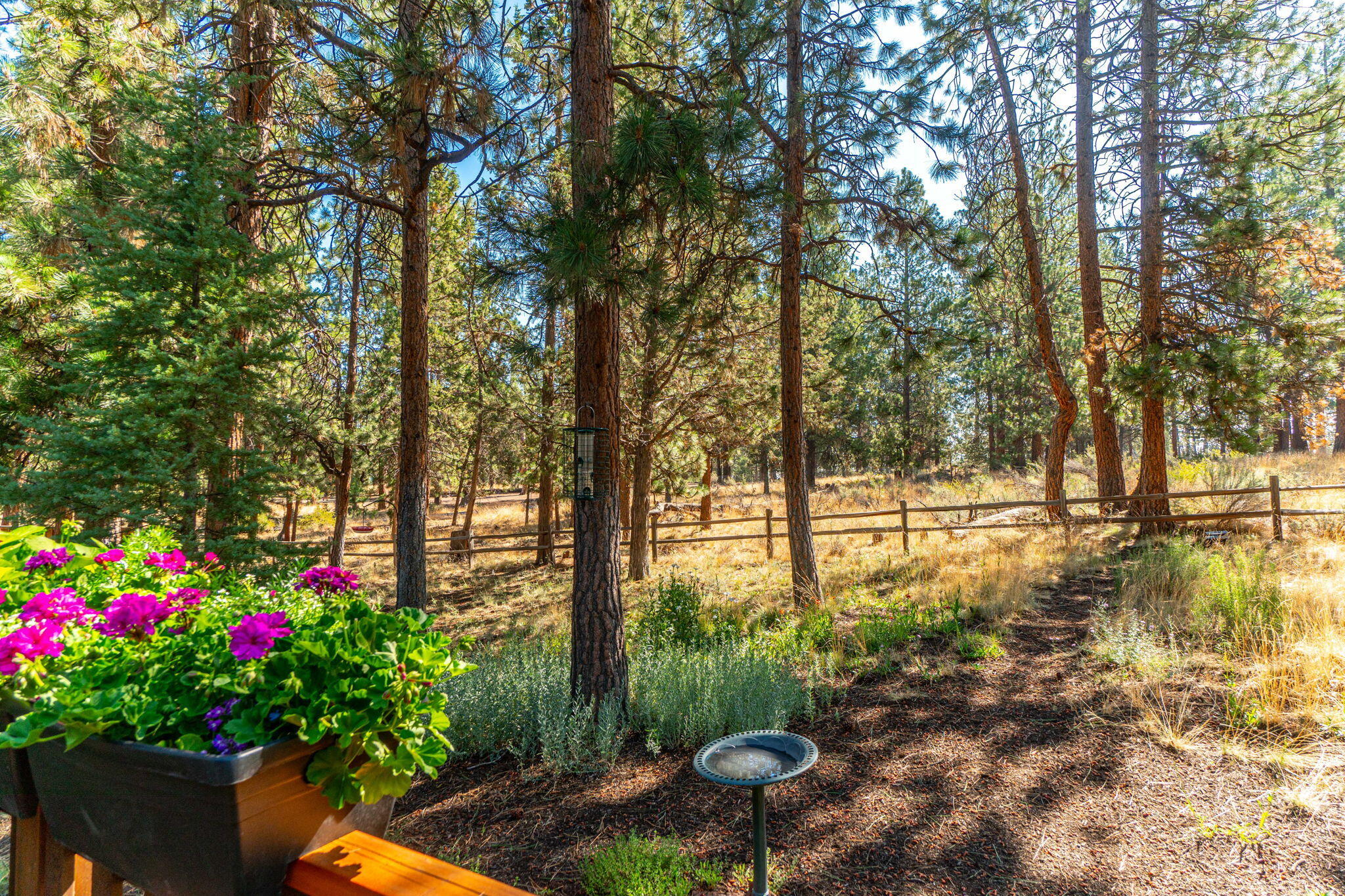210 NW Skyliner Summit Loop