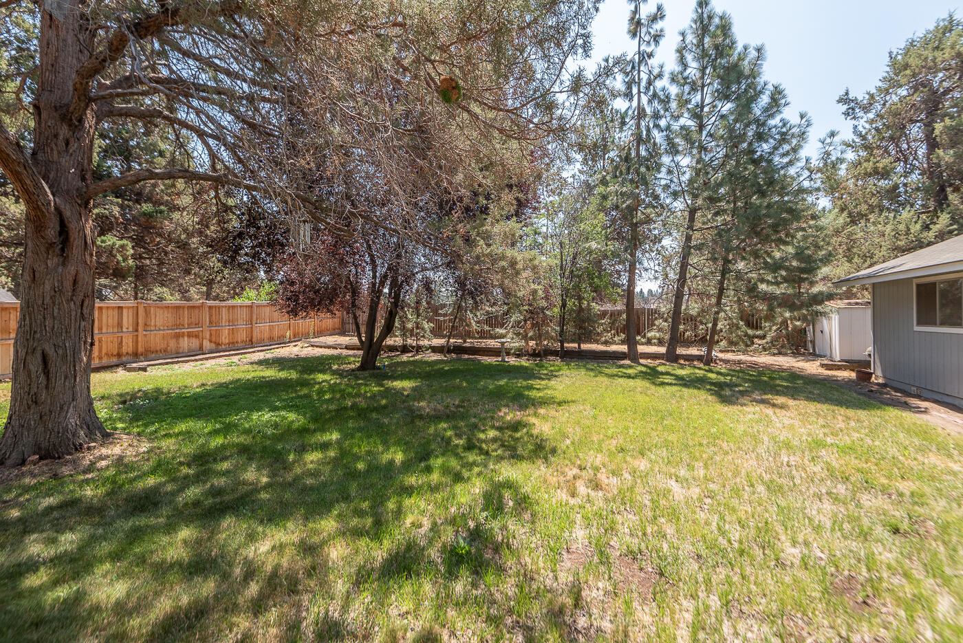20417 Clay Pigeon Court