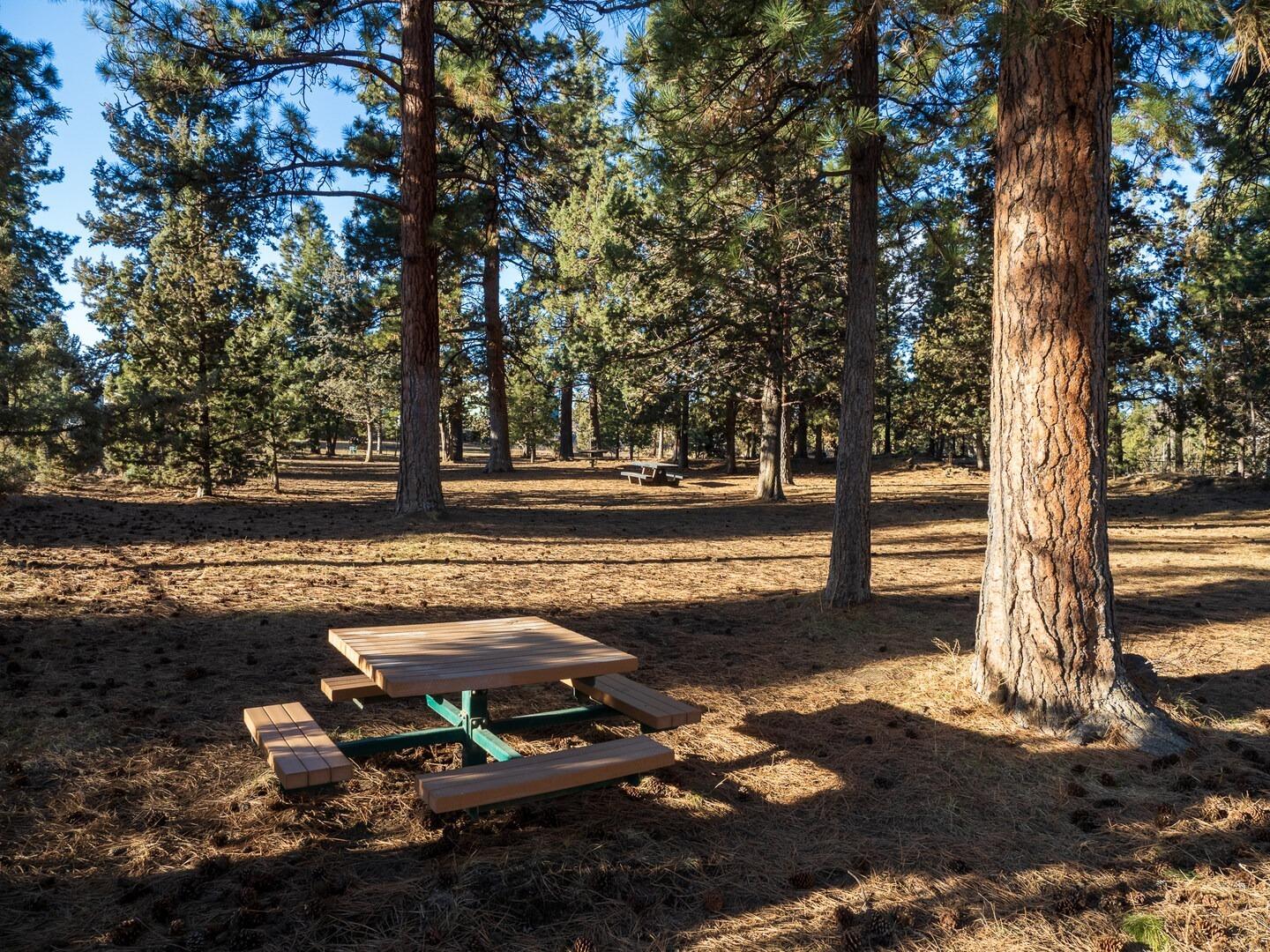 1704 SE Virginia Road