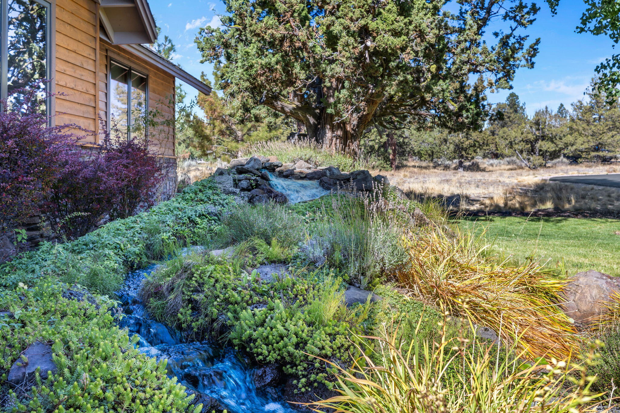 16991 Lady Caroline Drive