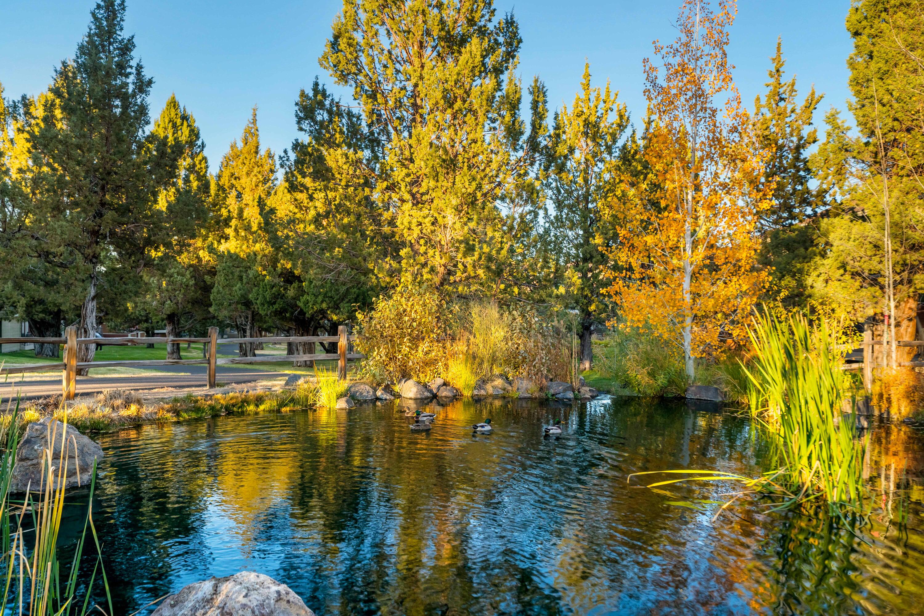 1238 Highland View Loop