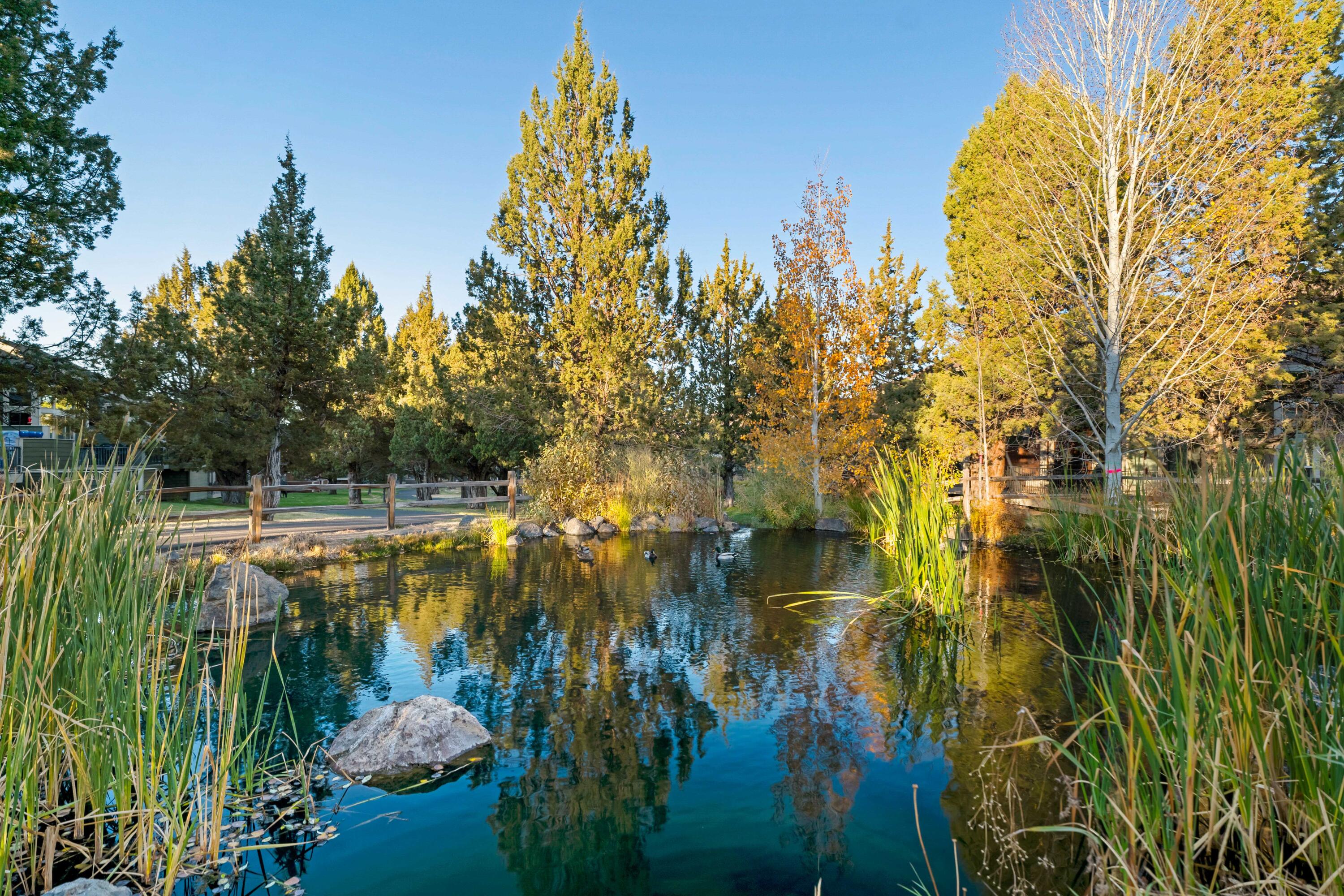 1238 Highland View Loop