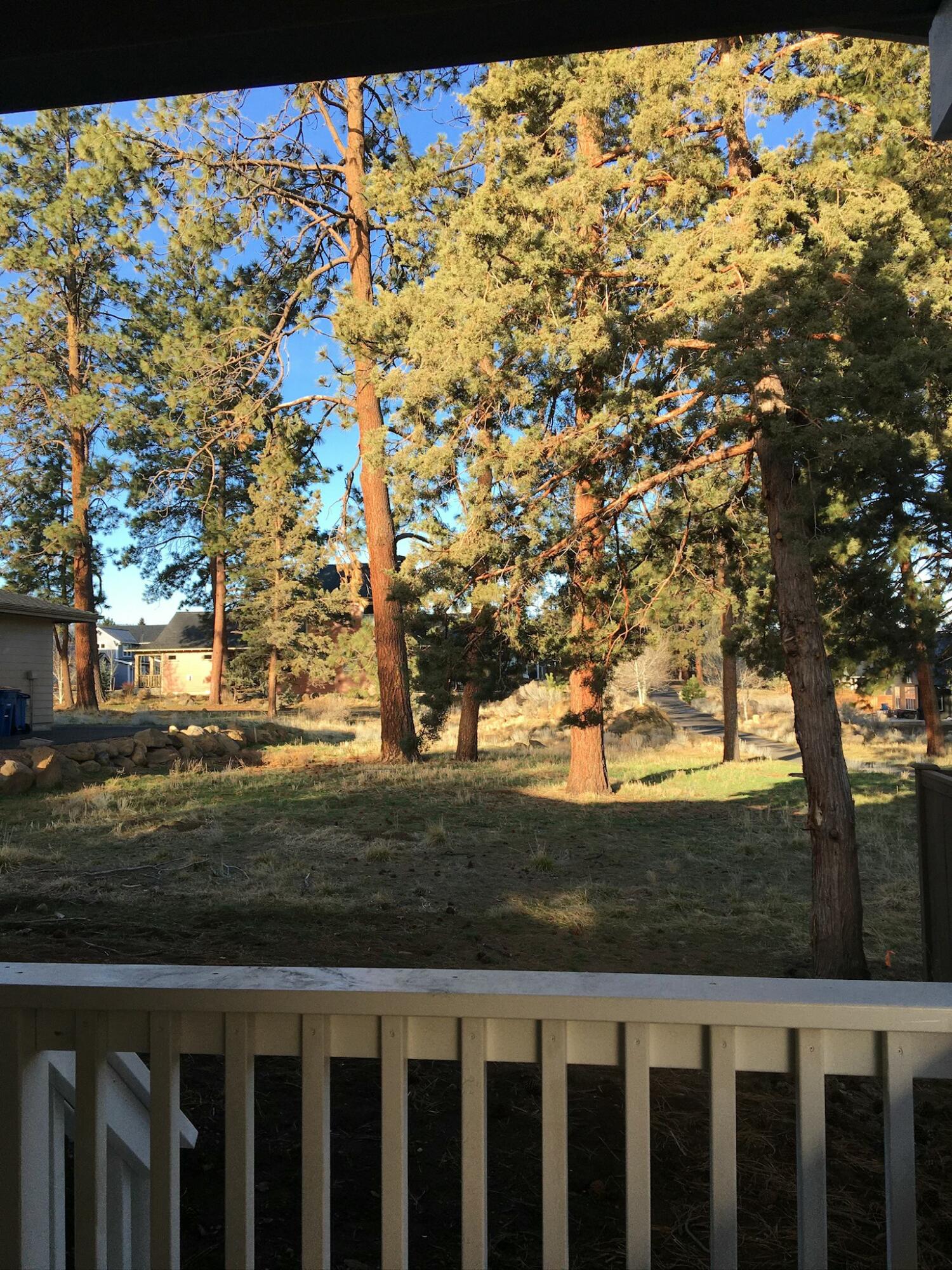 1084 E Horse Back Trail