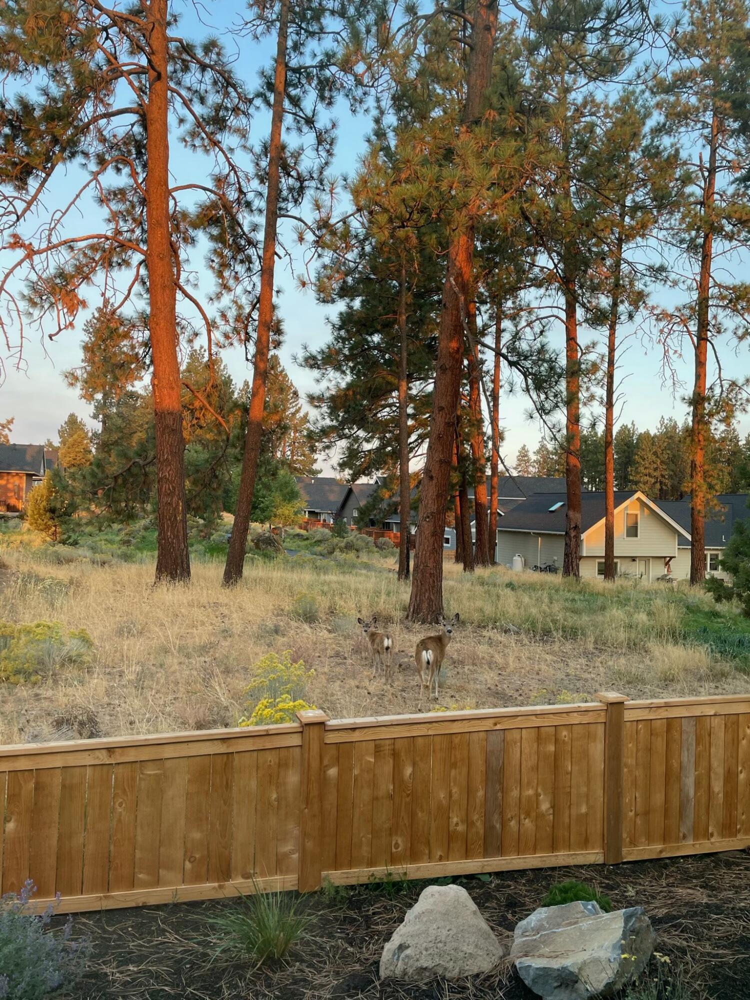 1084 E Horse Back Trail