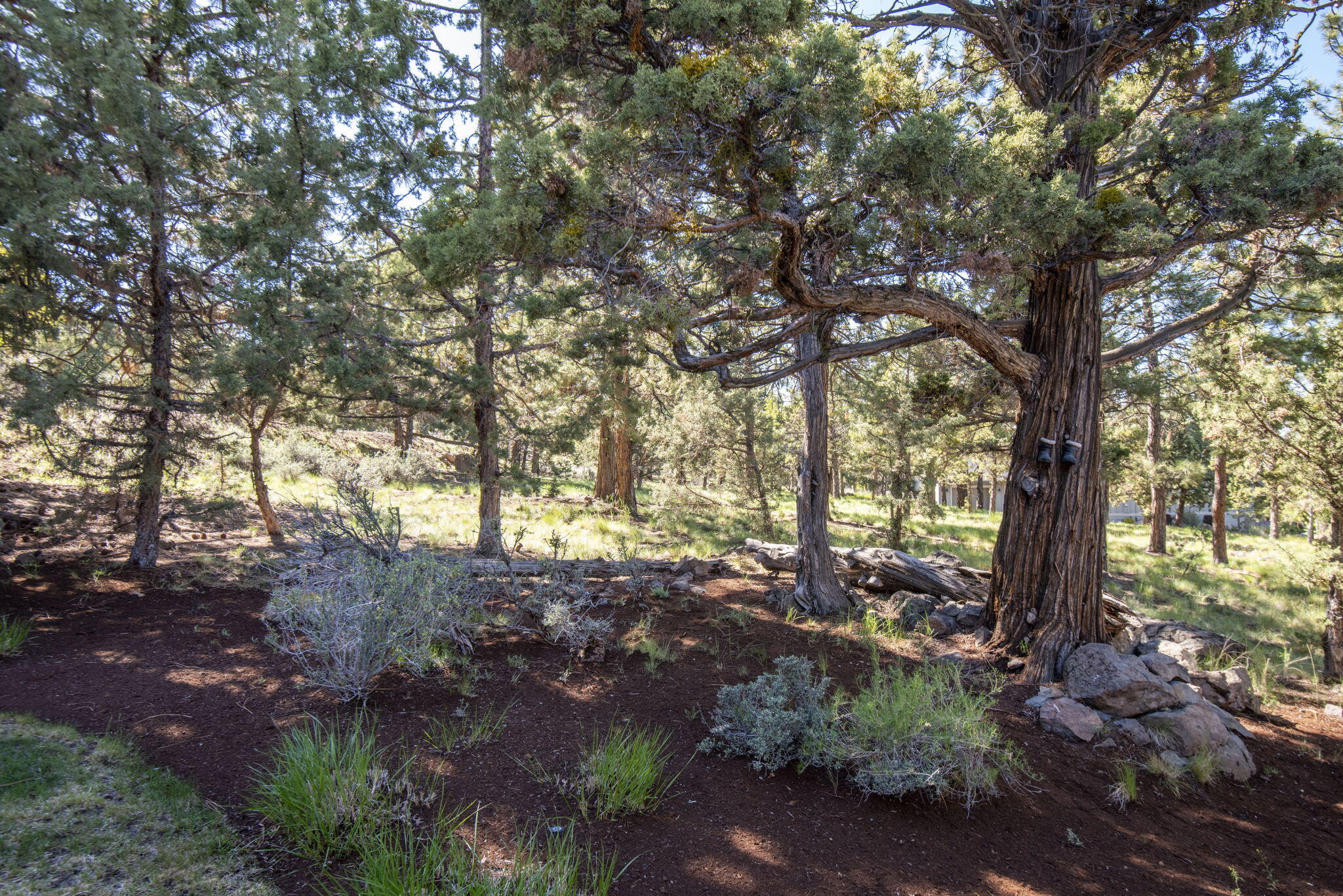 1010 NW Yosemite Drive