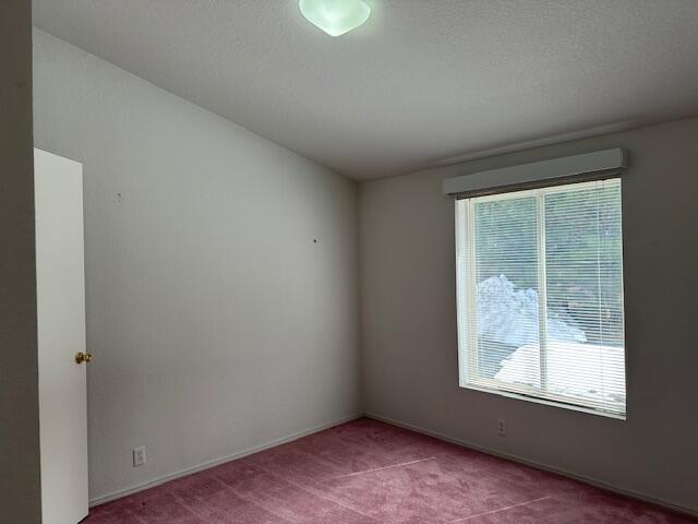 15867 Bushberry Court