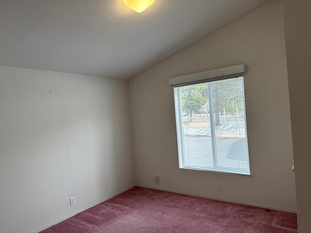 15867 Bushberry Court