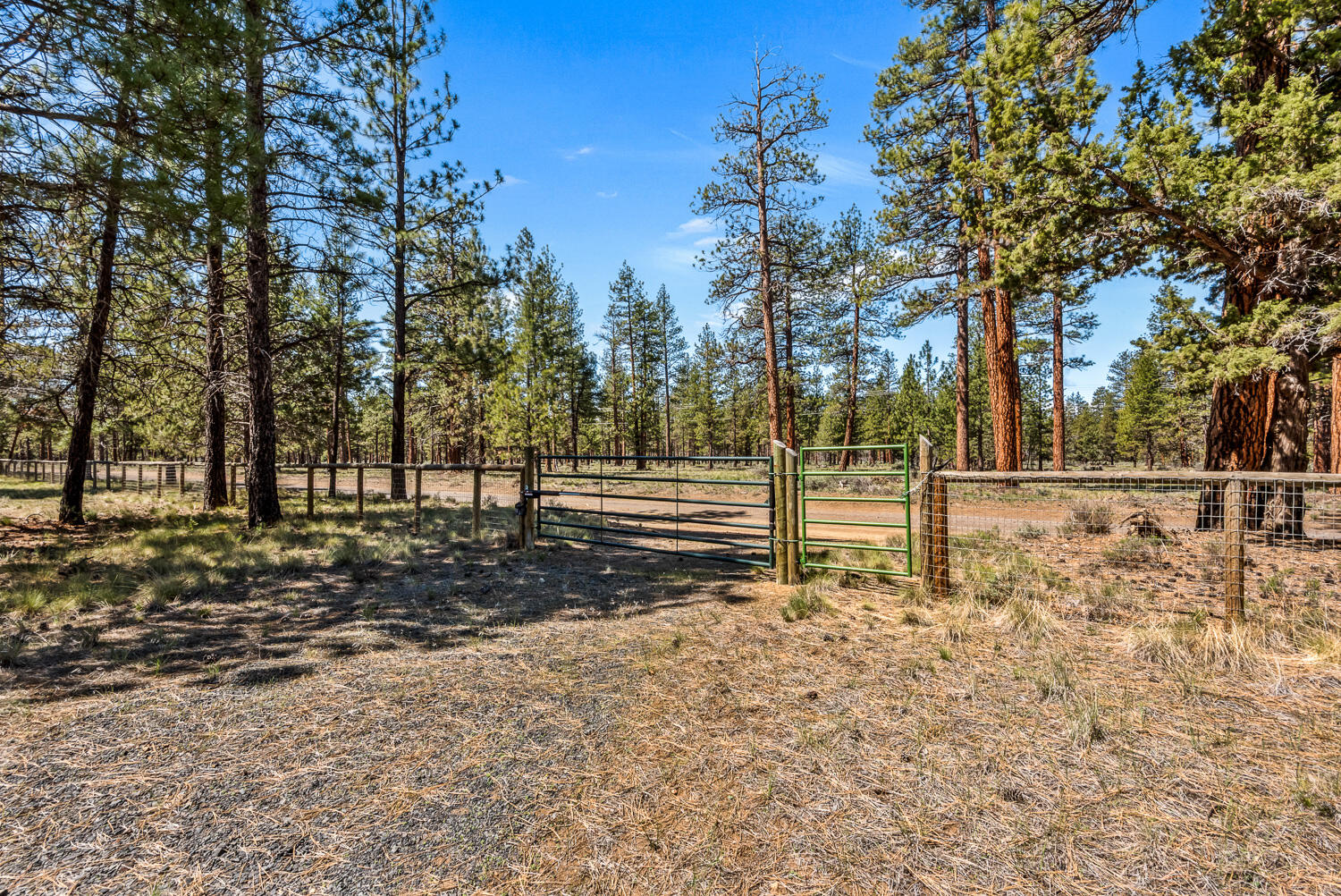 69269 Crooked Horseshoe Road