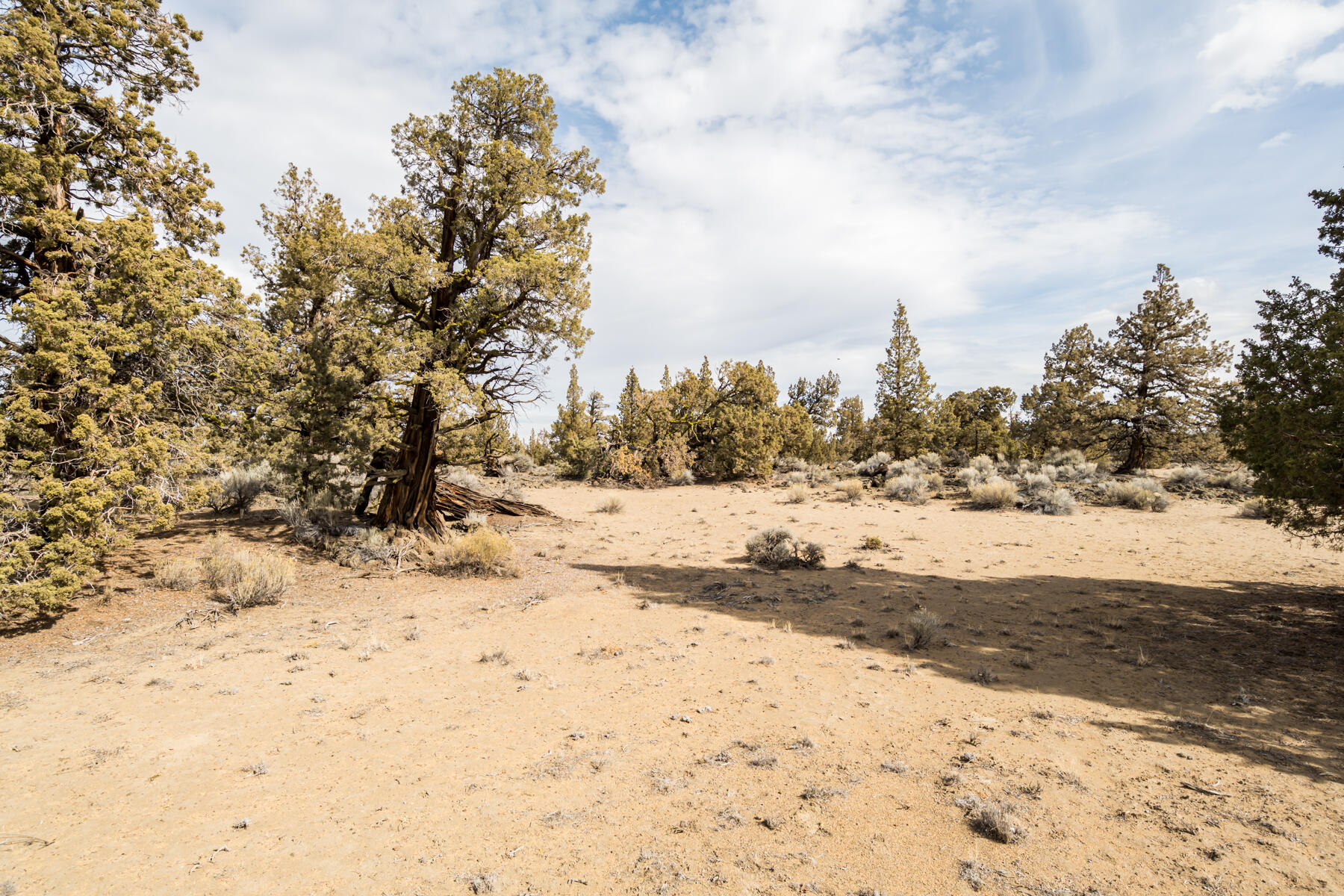 65650 Pronghorn Estates Drive, Lot 28