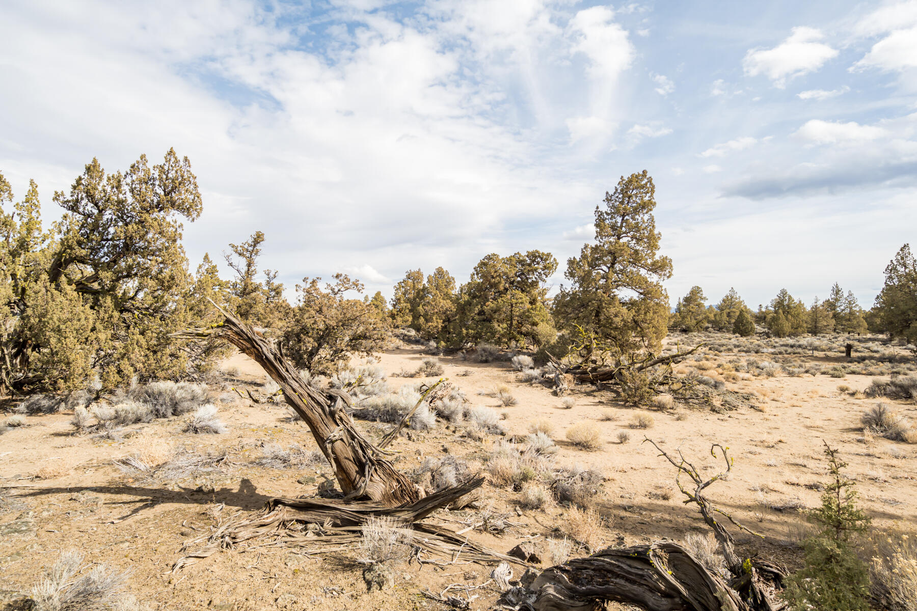 65650 Pronghorn Estates Drive, Lot 28