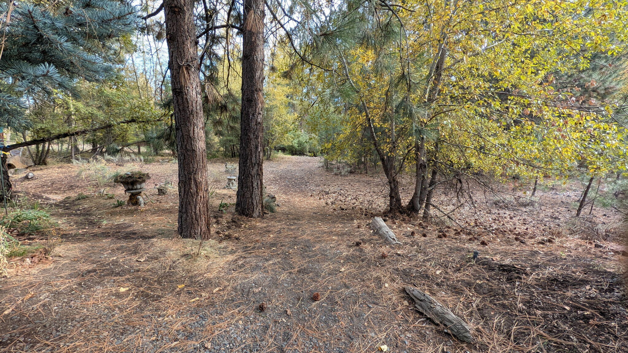 450 S Timber Creek Drive