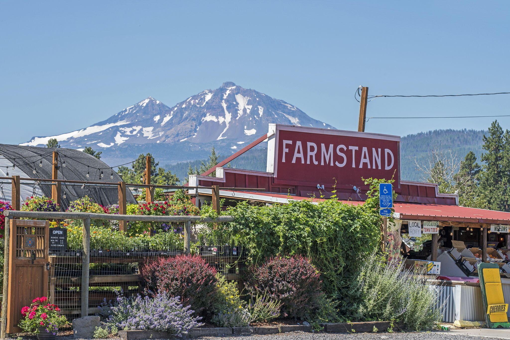 450 S Timber Creek Drive