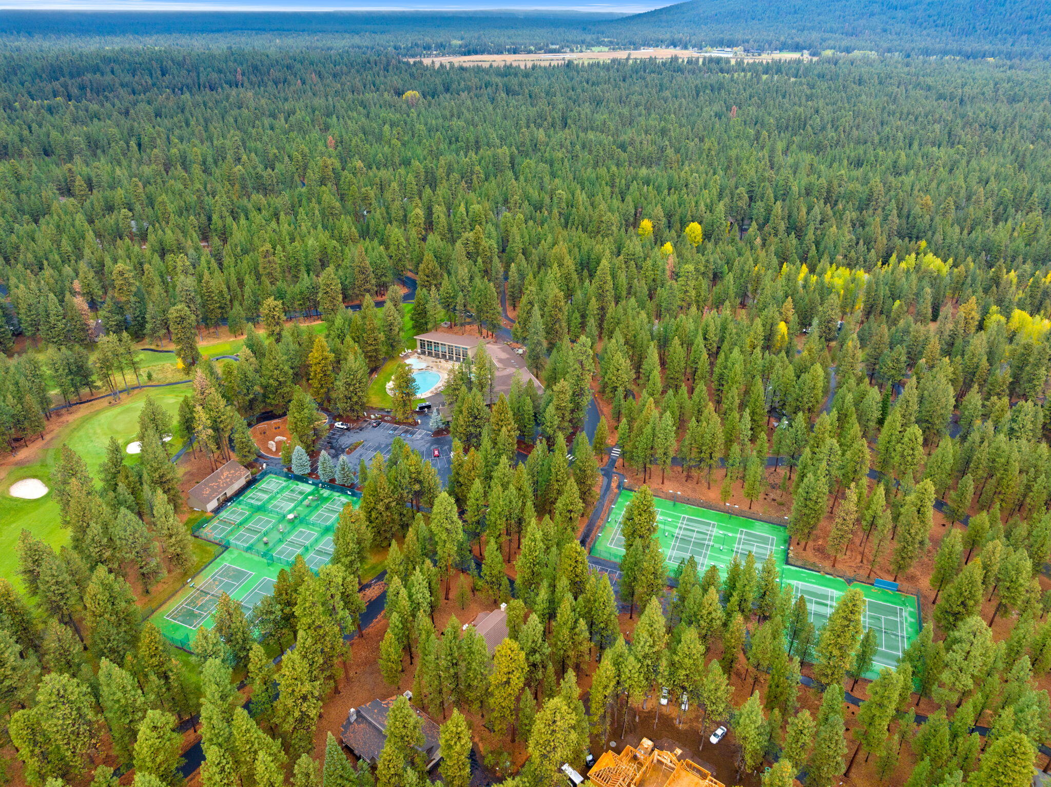 13692 Owls Clover, RH9