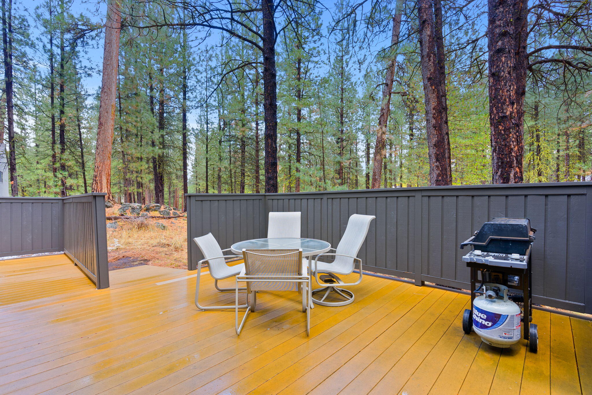 13692 Owls Clover, RH9