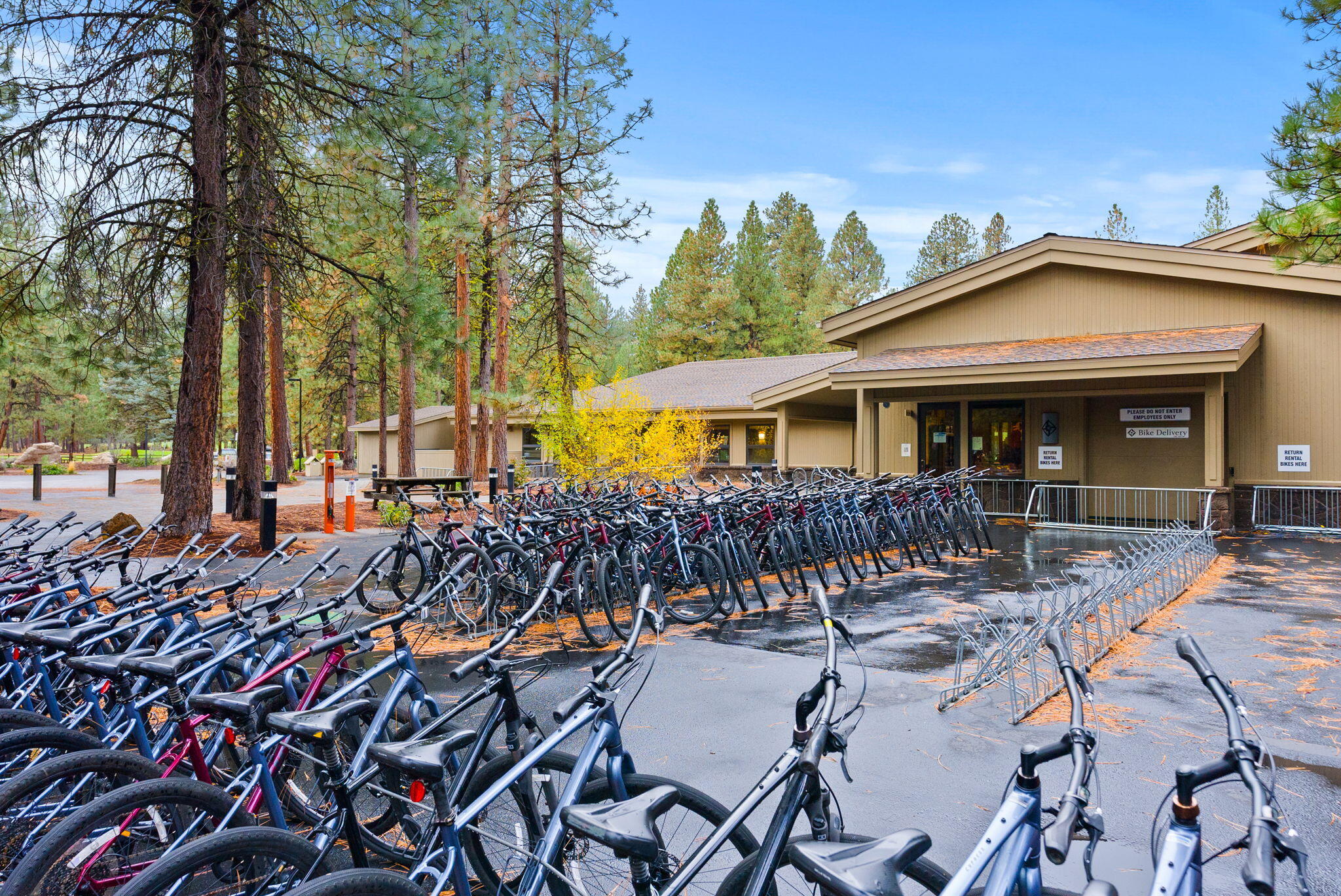 13692 Owls Clover, RH9