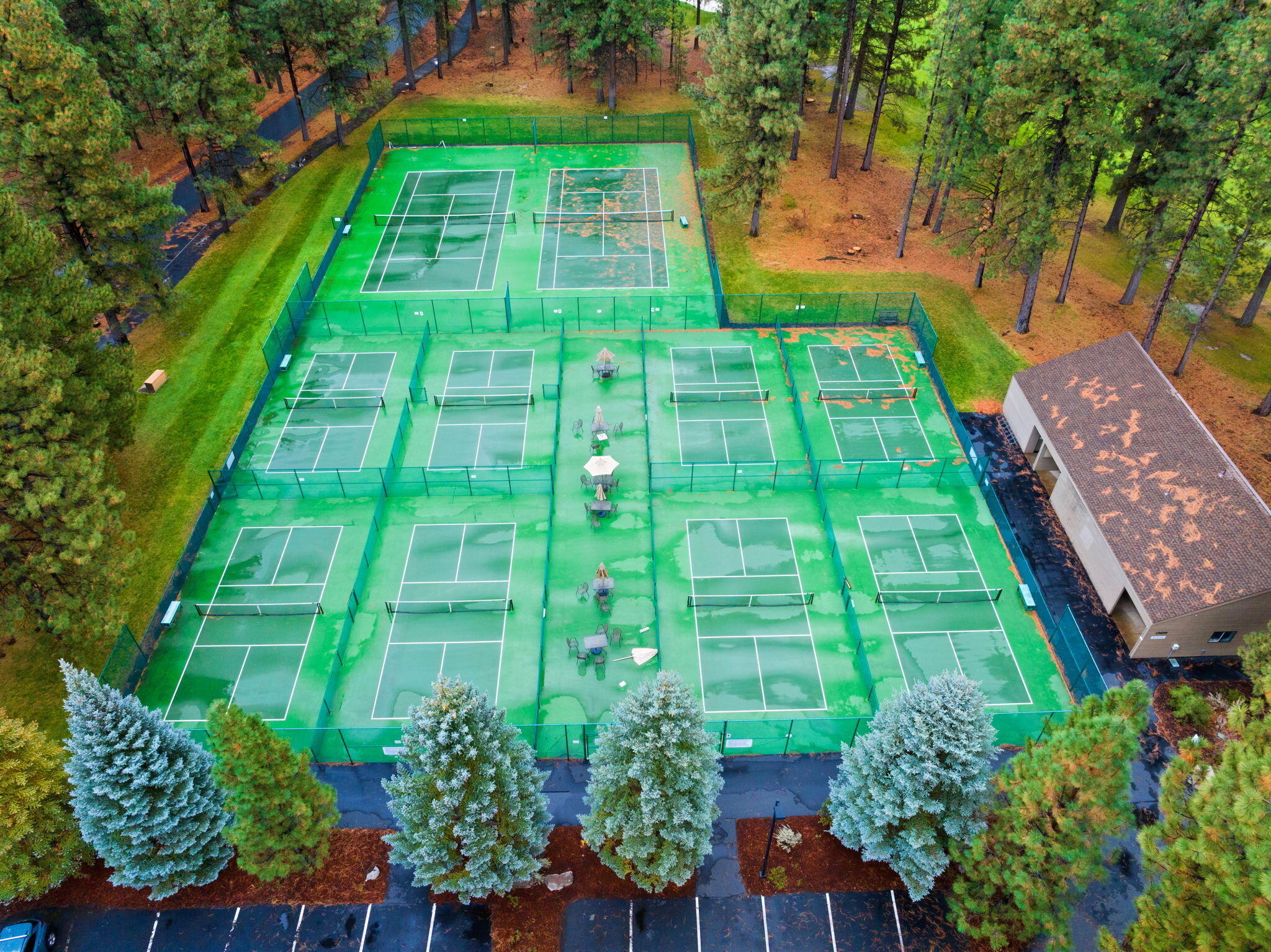 13692 Owls Clover, RH9