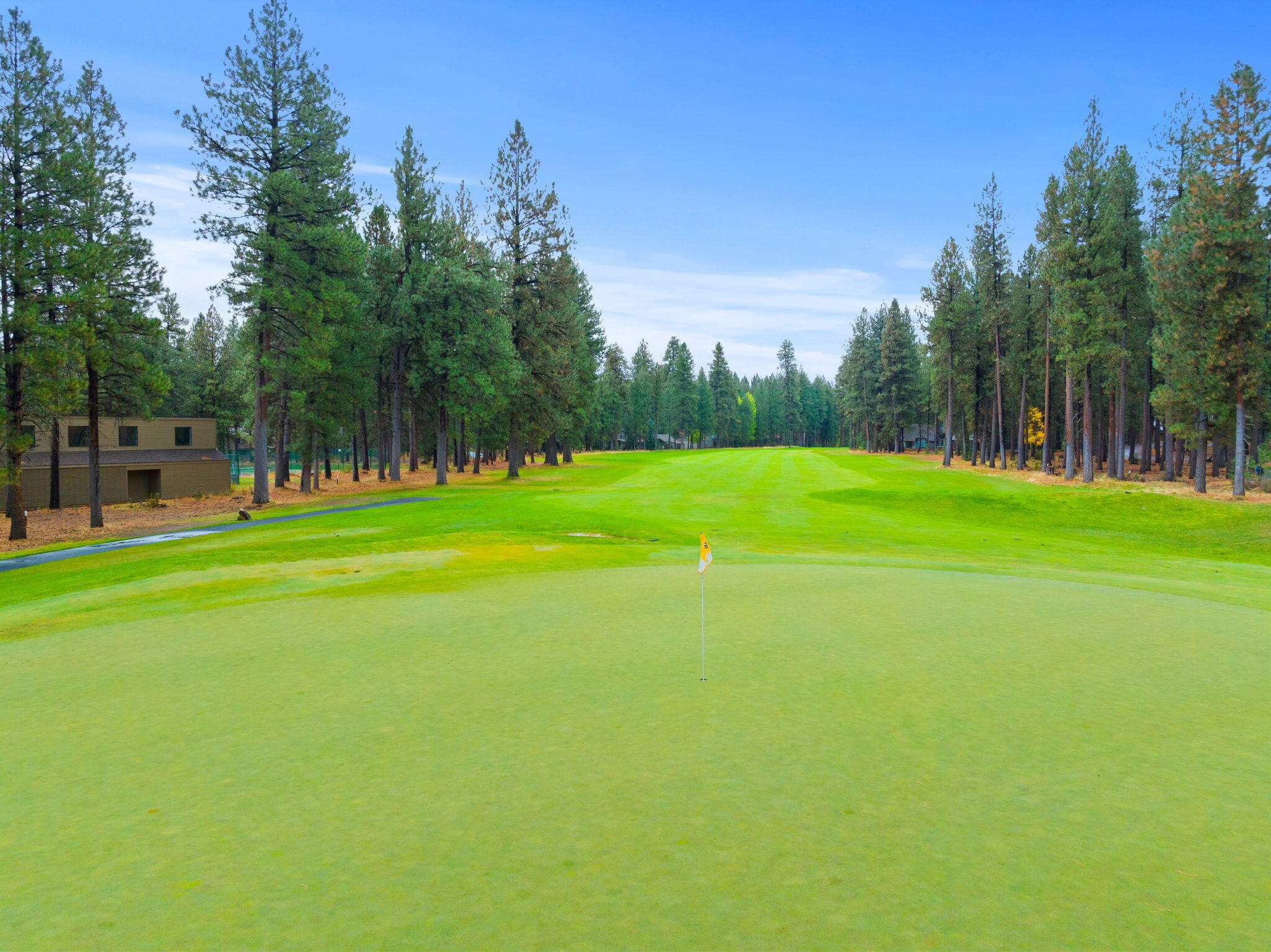 13692 Owls Clover, RH9