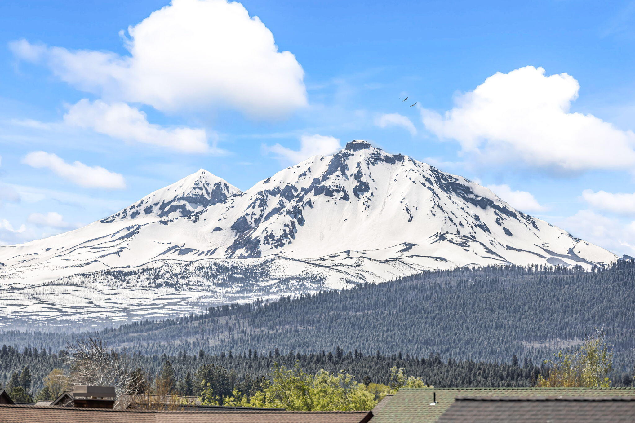 597 W Jefferson Avenue