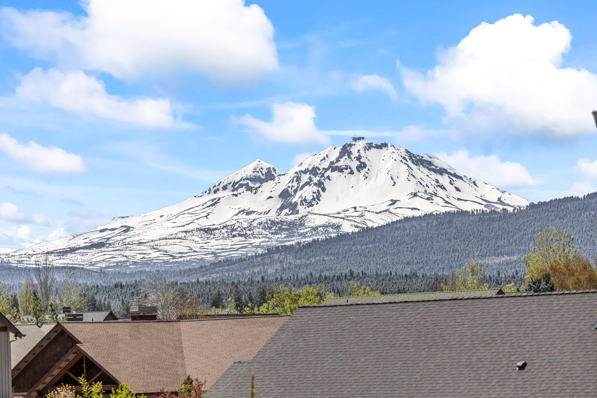 597 W Jefferson Avenue