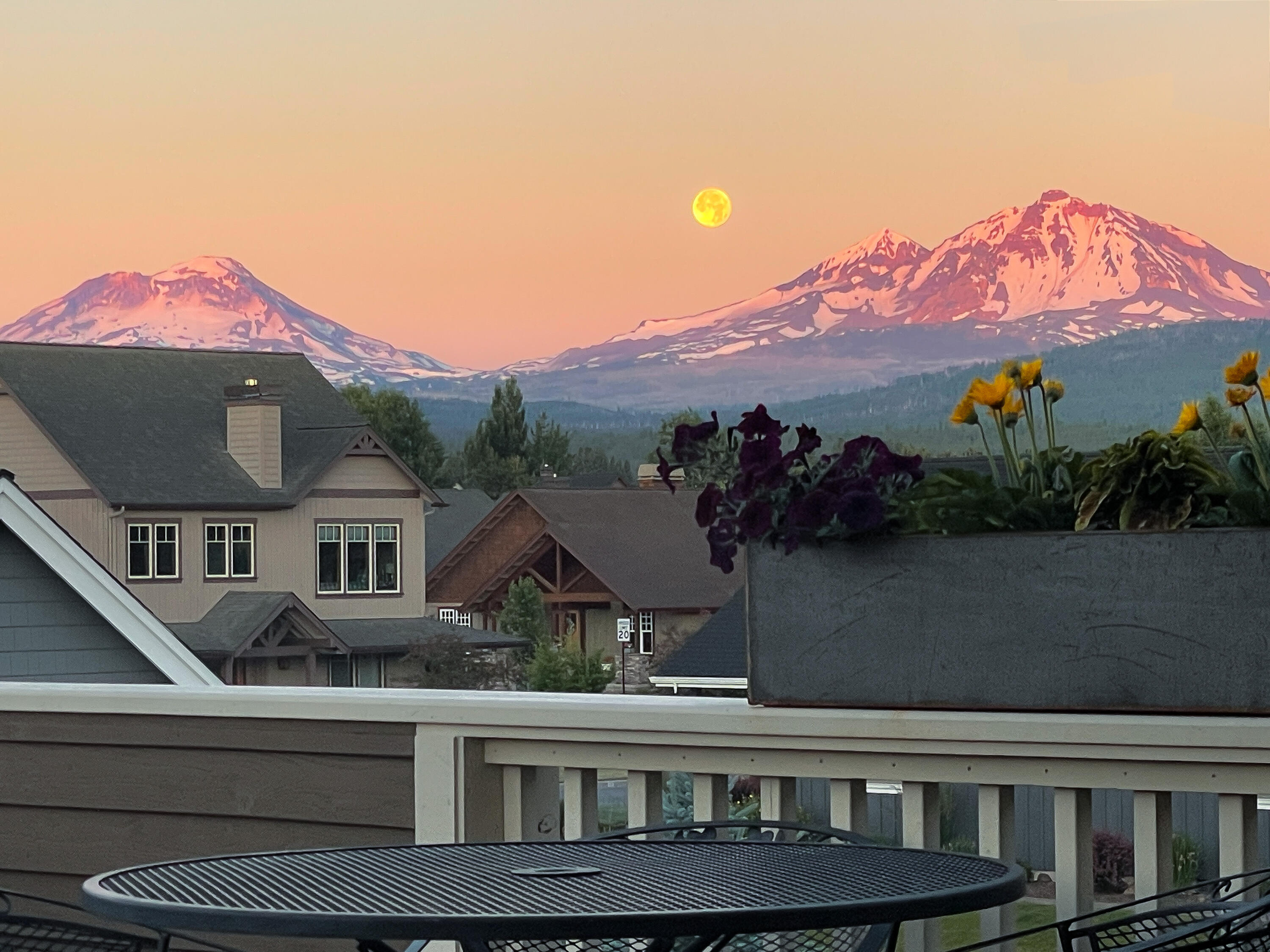 597 W Jefferson Avenue