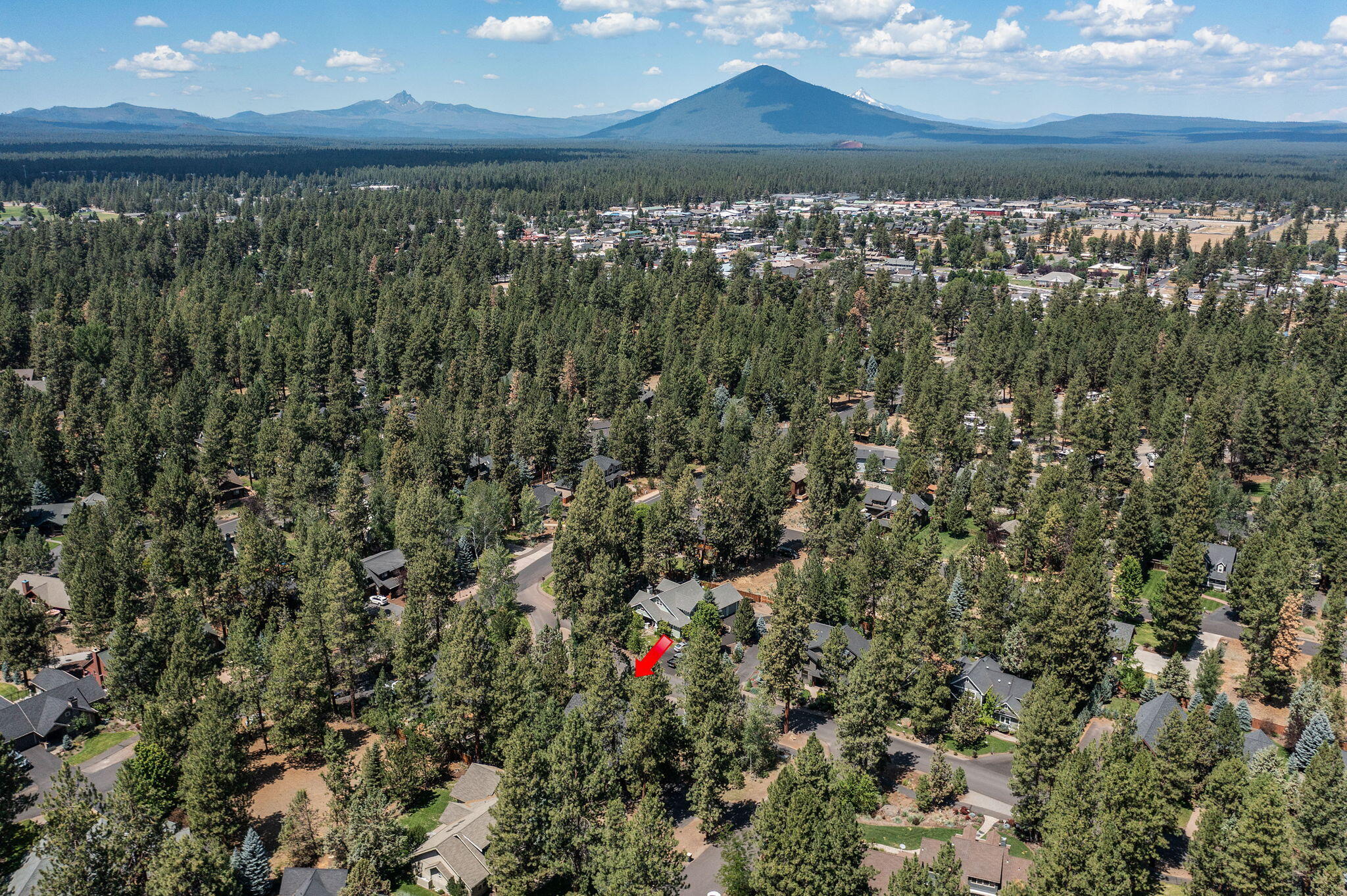 685 E Coyote Springs Road