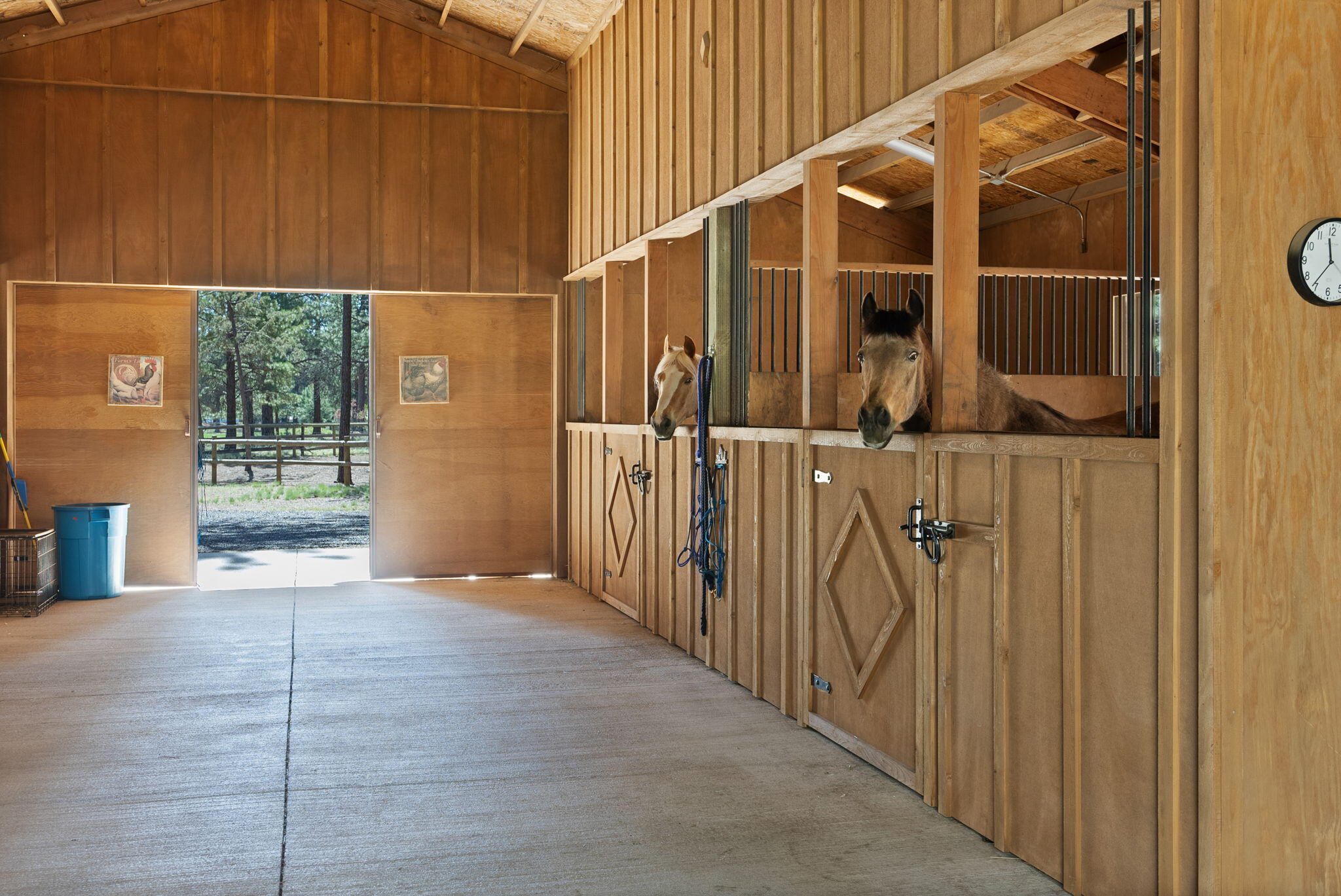 69255 Crooked Horseshoe Road