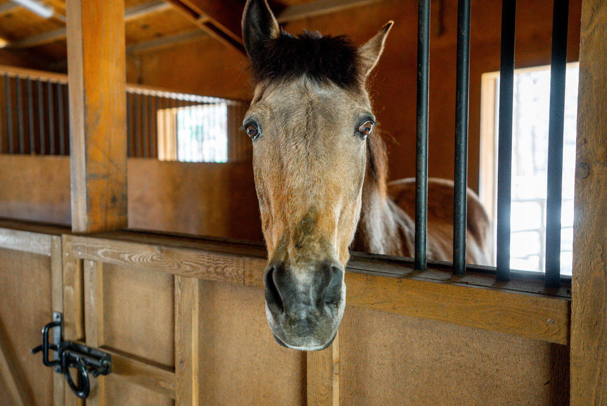 69255 Crooked Horseshoe Road