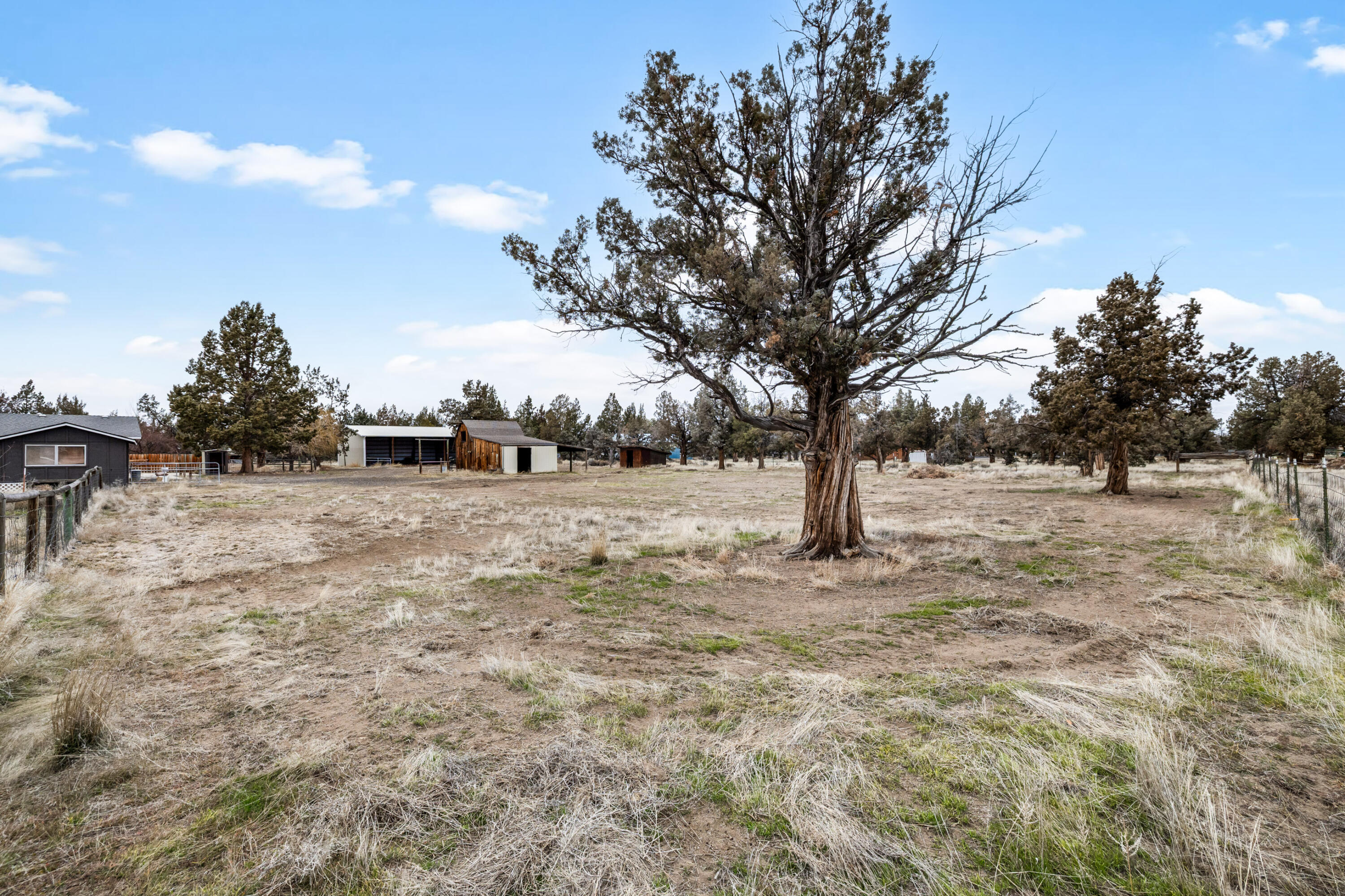 22860 Buckskin Court