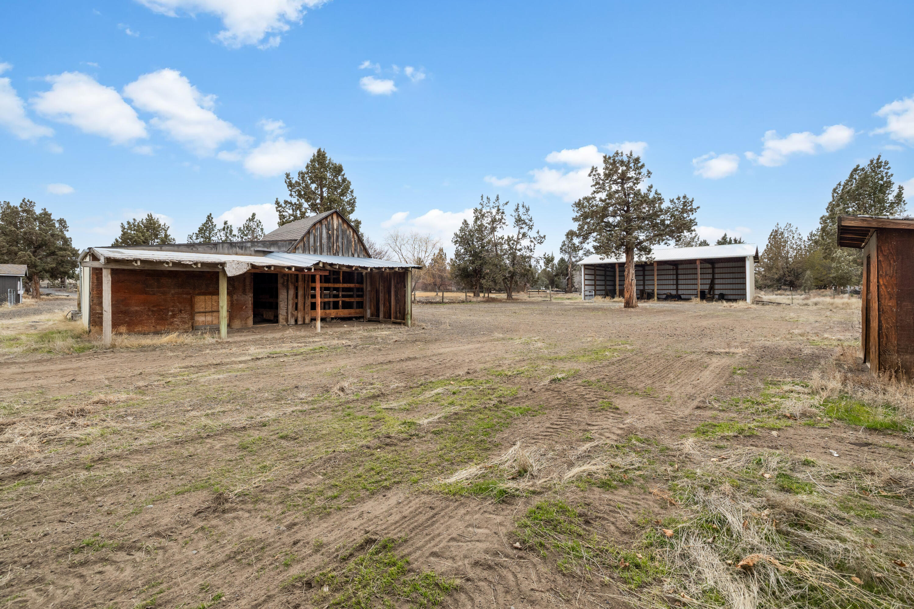 22860 Buckskin Court