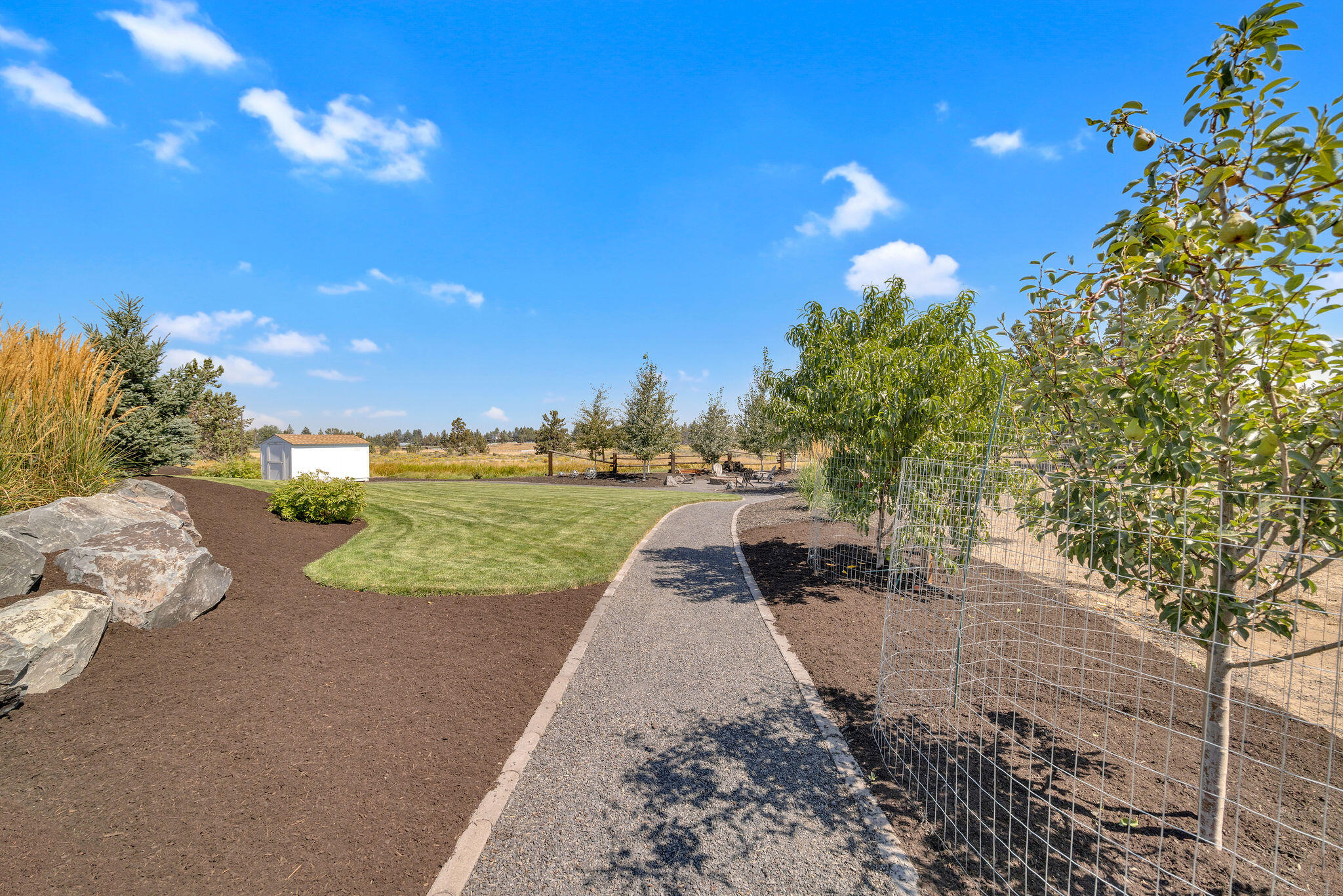 21483 Bunchgrass Court