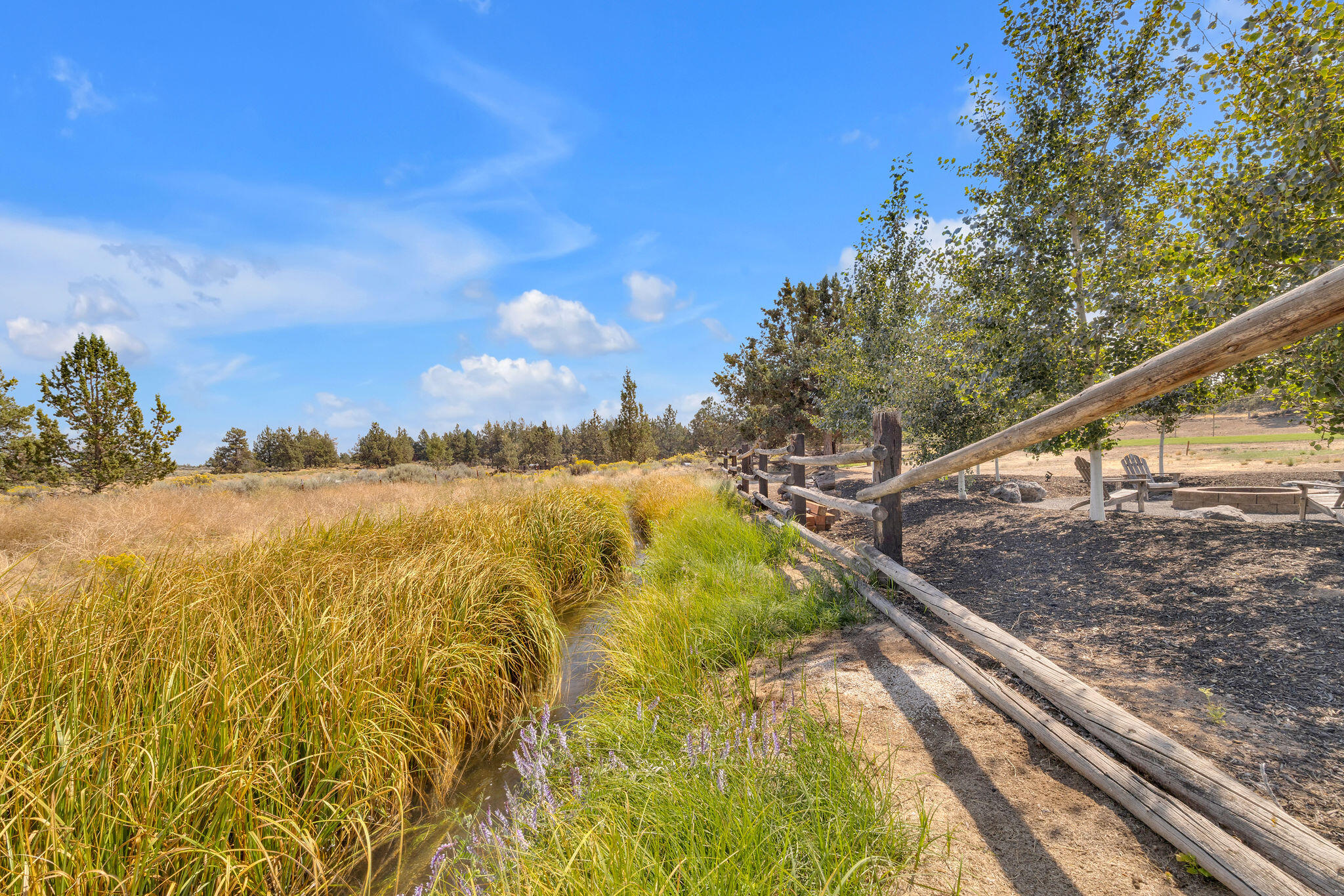 21483 Bunchgrass Court