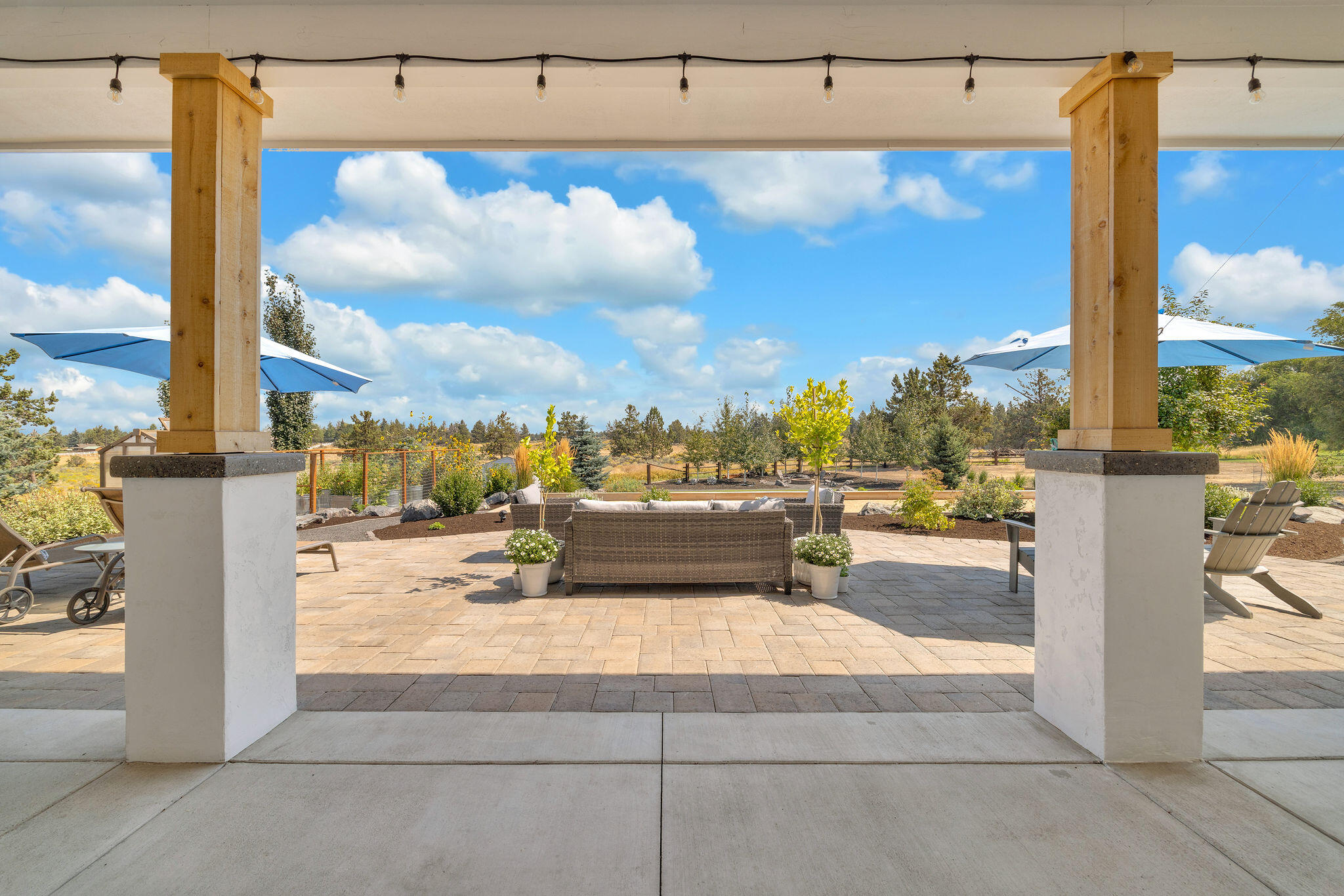 21483 Bunchgrass Court