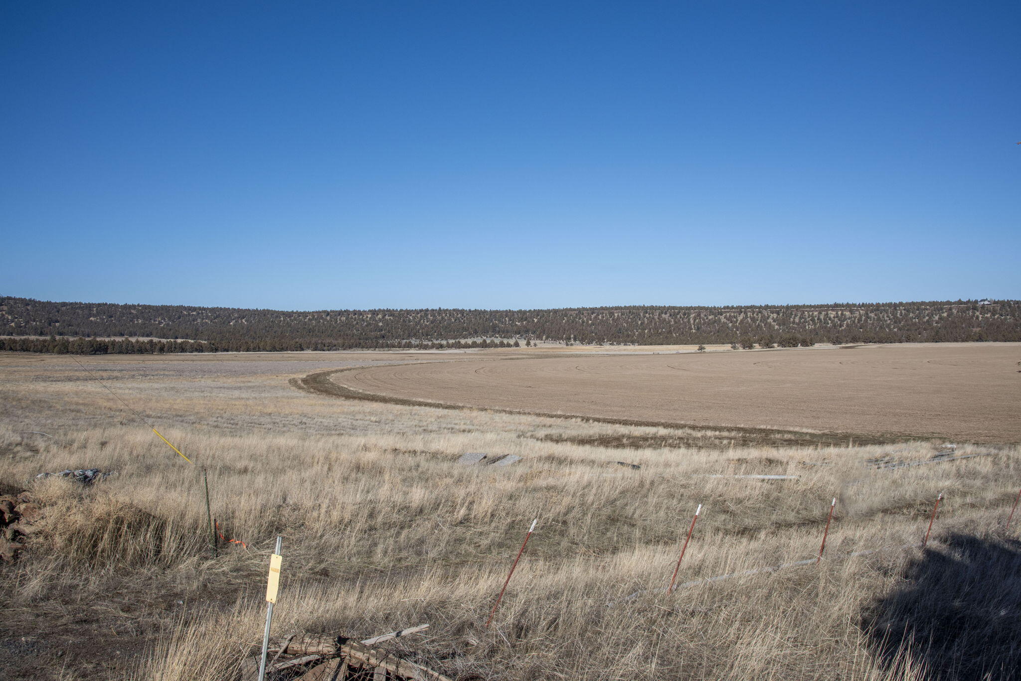McKenzie Canyon Road