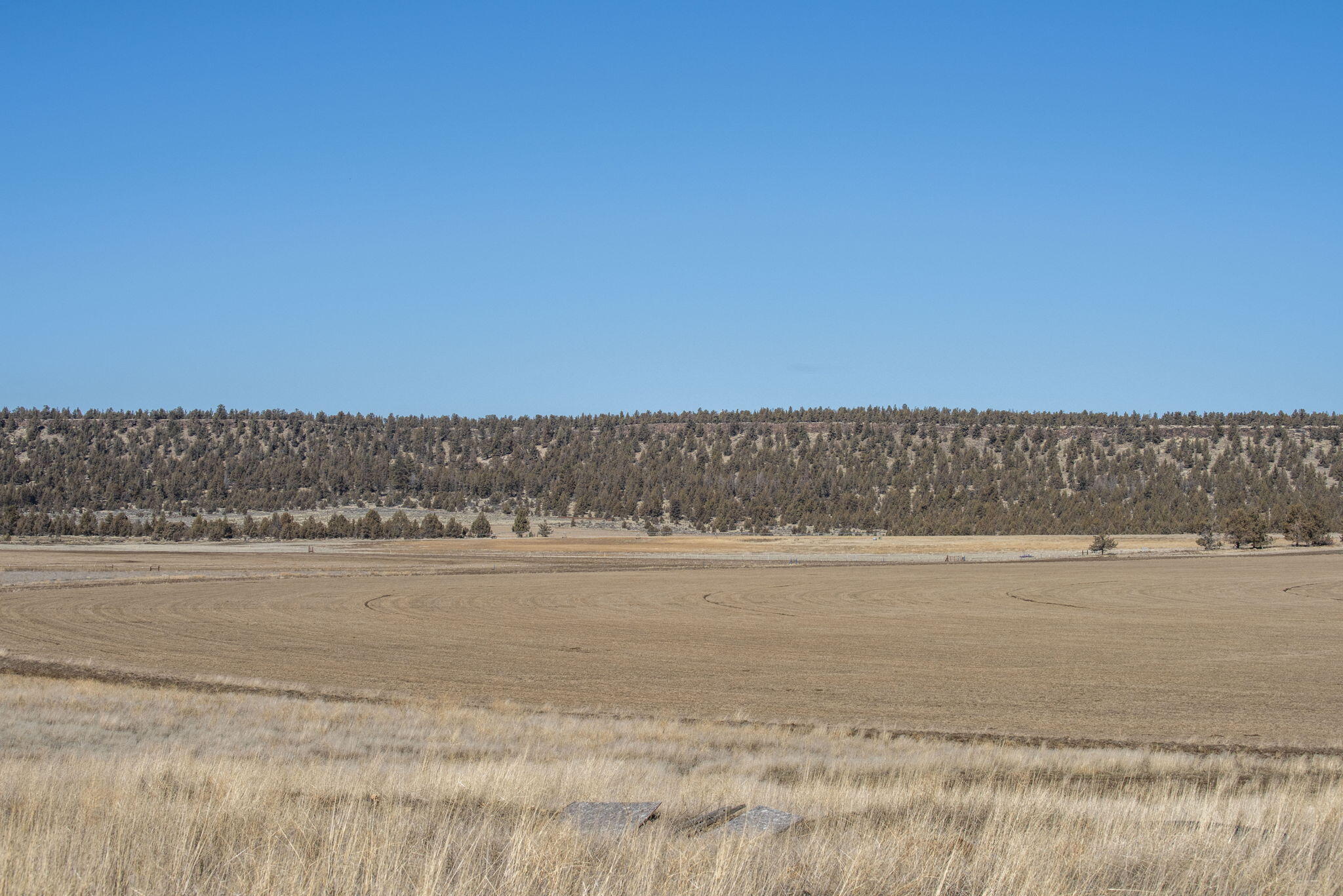 McKenzie Canyon Road