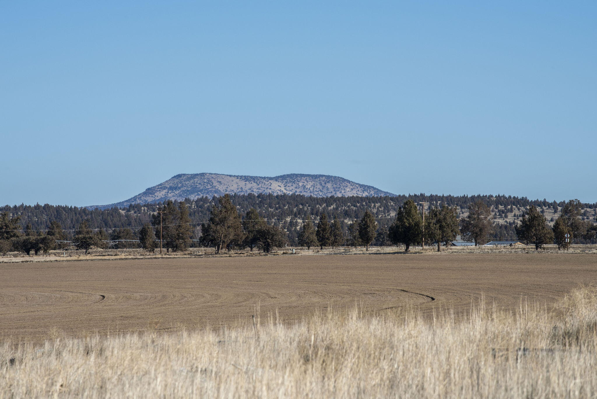 McKenzie Canyon Road