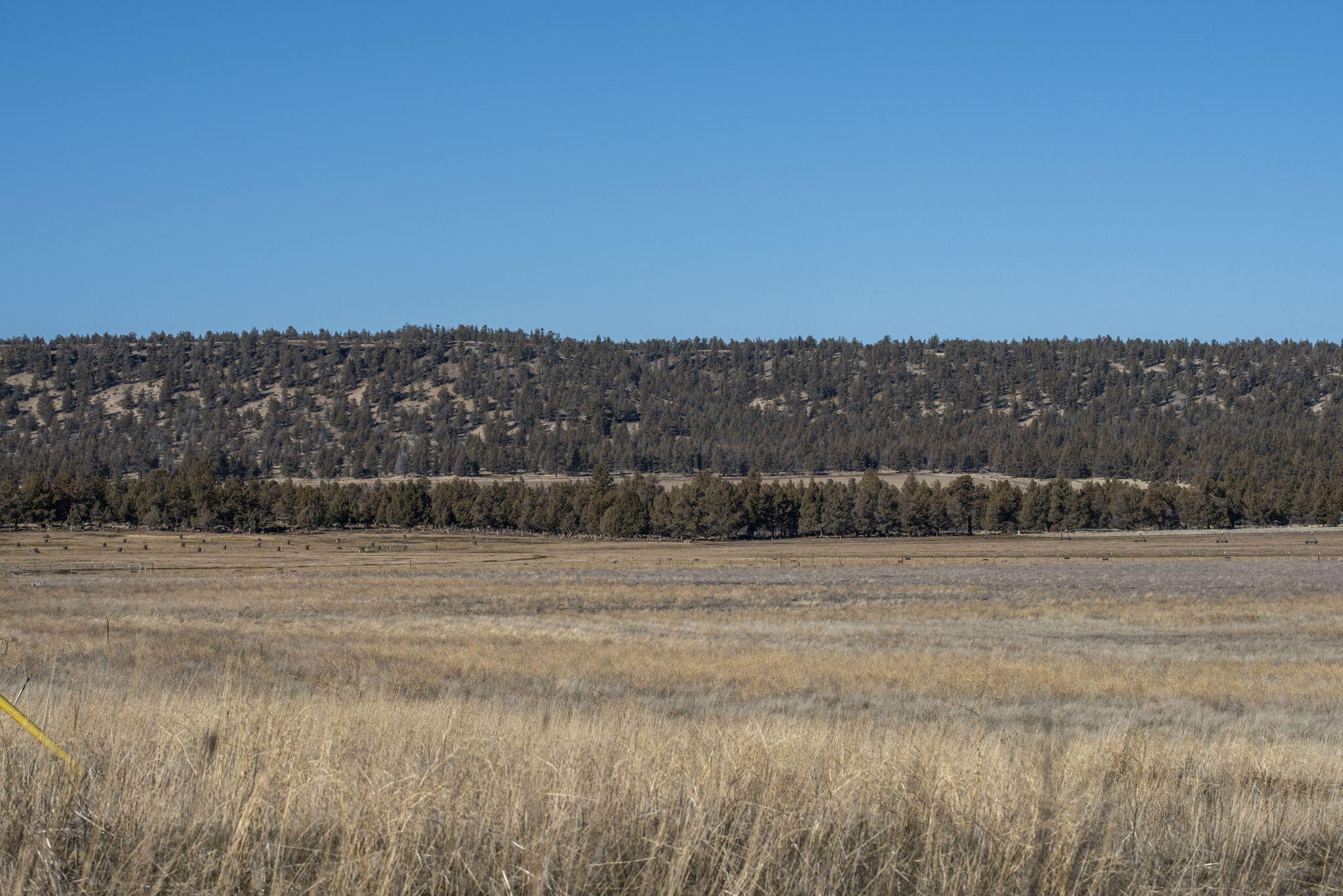 McKenzie Canyon Road