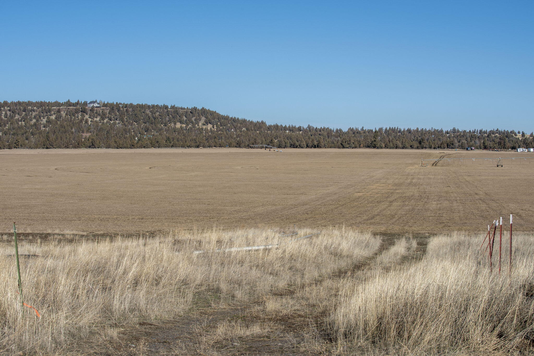 McKenzie Canyon Road