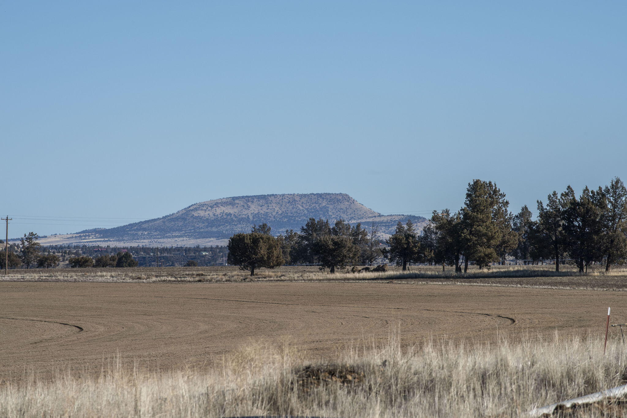 McKenzie Canyon Road