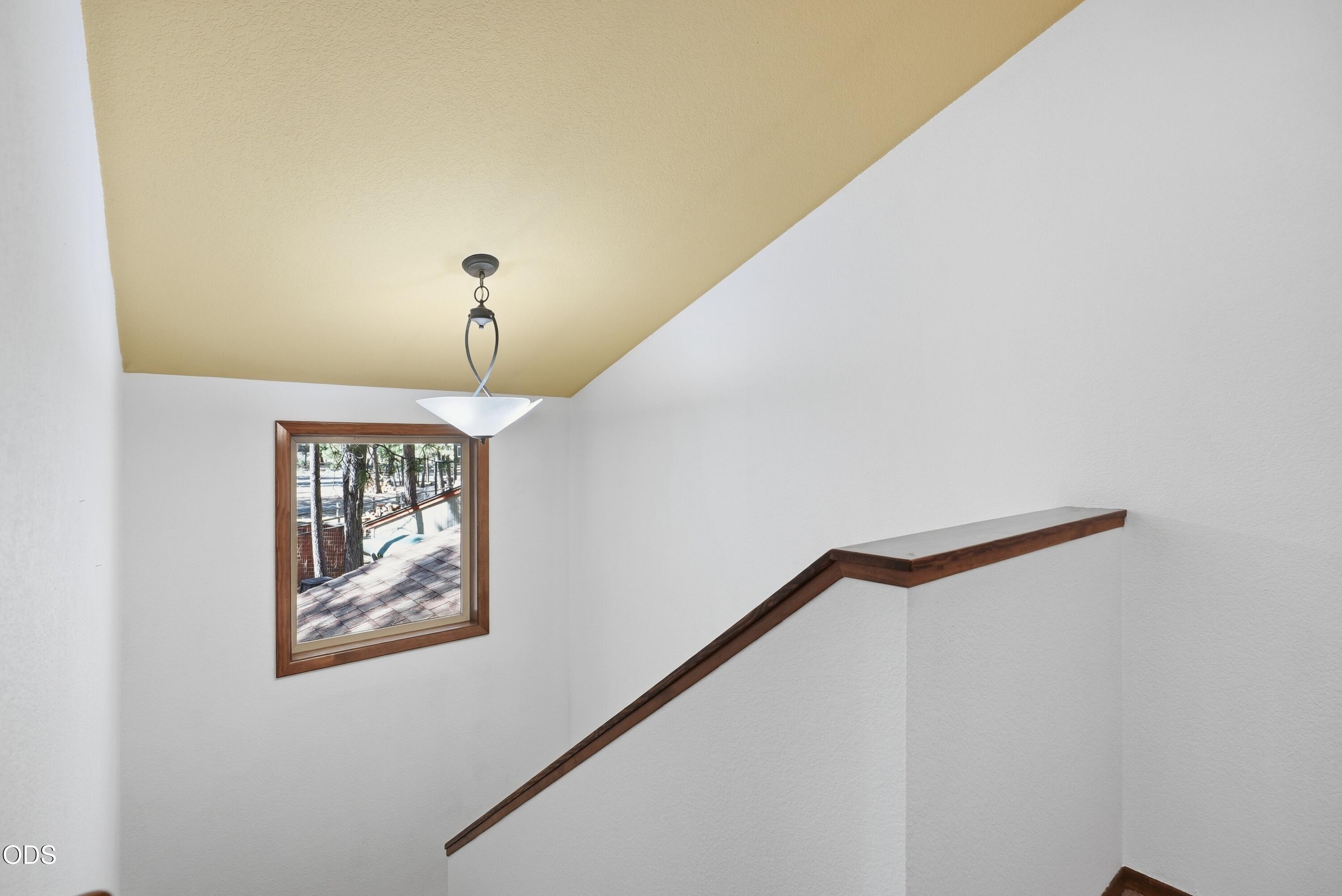 14987 Buggy Whip