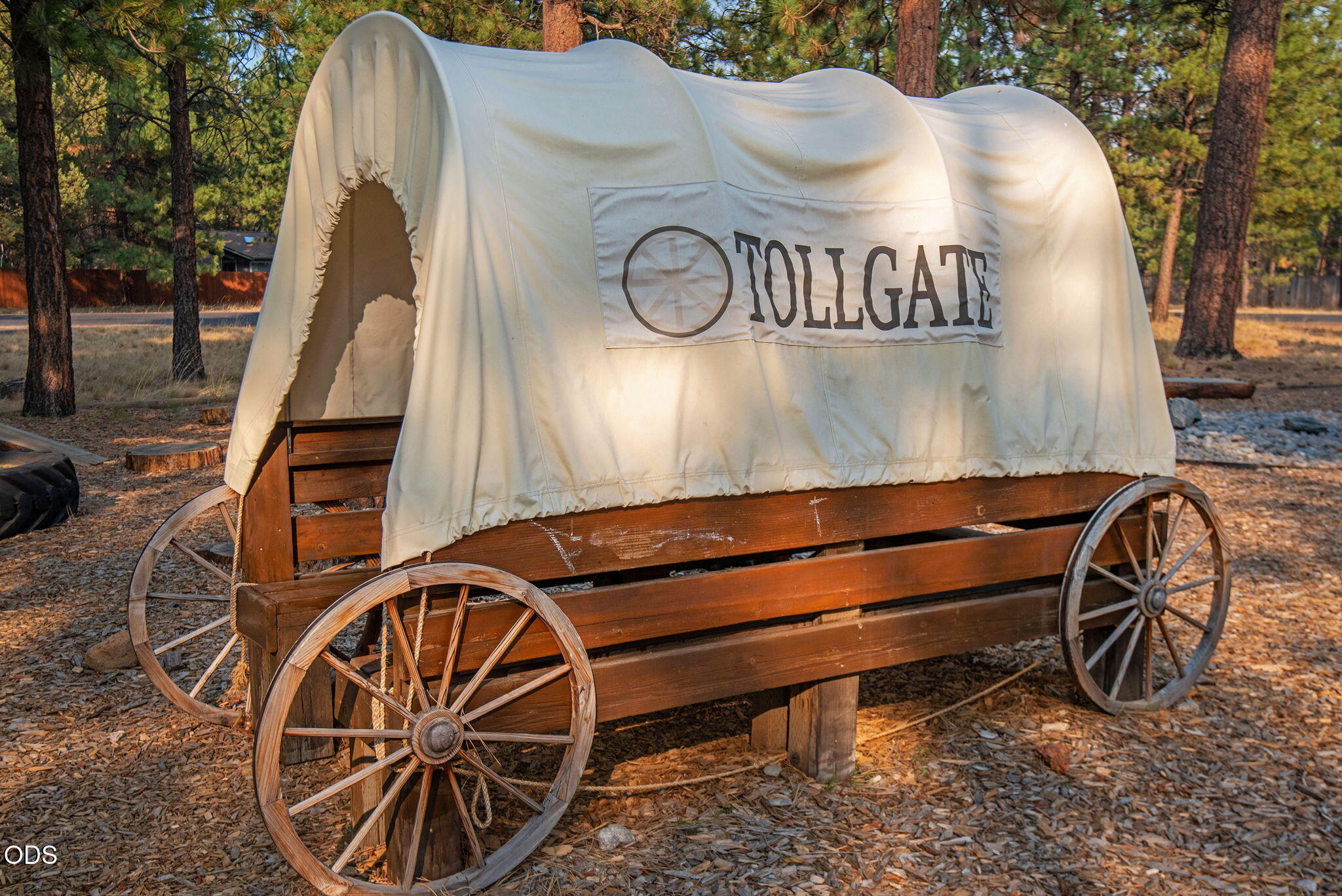 14987 Buggy Whip