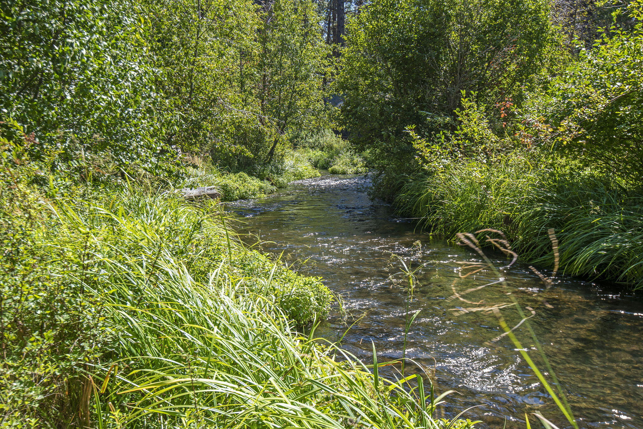 13375 SW Forest Service Road, Cabin 18 U1