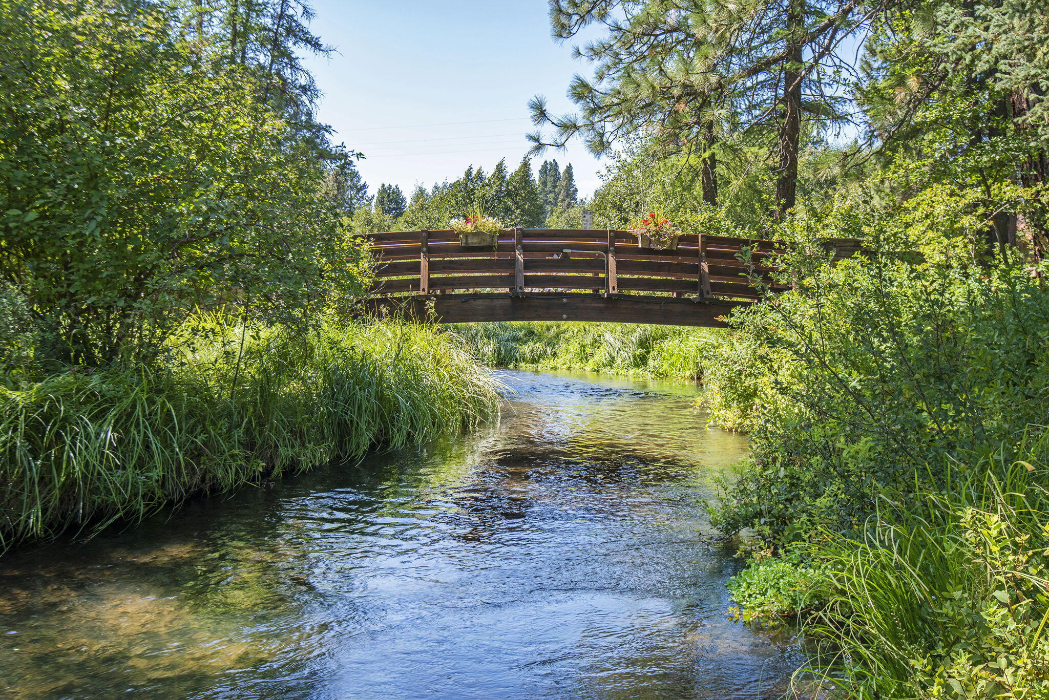 13375 SW Forest Service Road, Cabin 18 U1