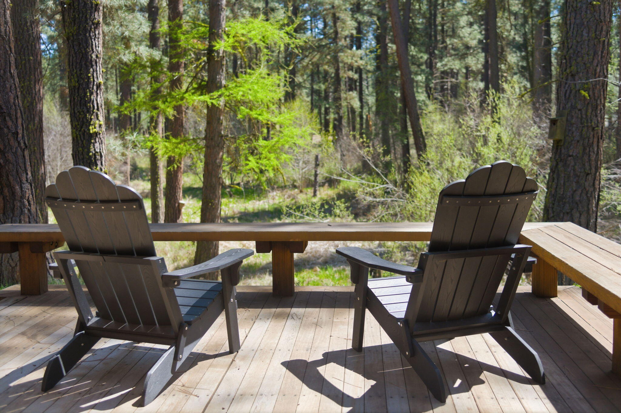 13375 SW Forest Service Road, Cabin 18 U1