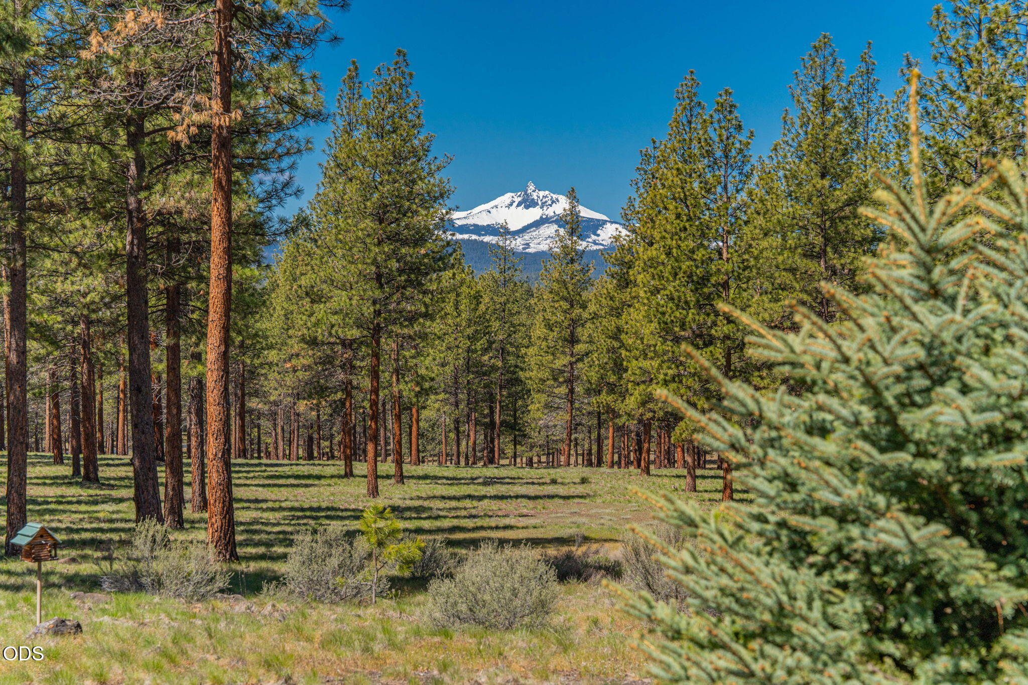 69877 California Trail
