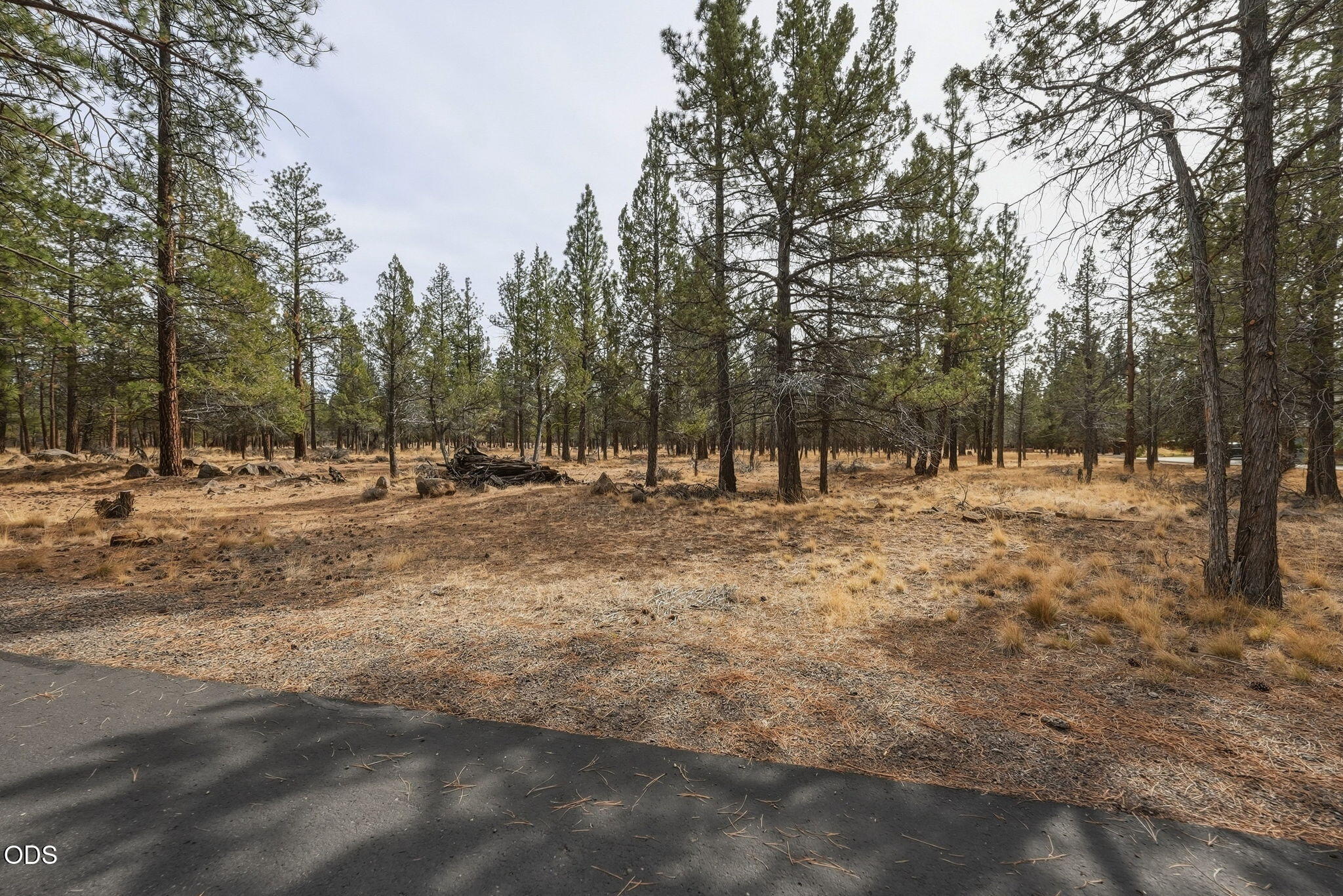 16541 Wren Lane